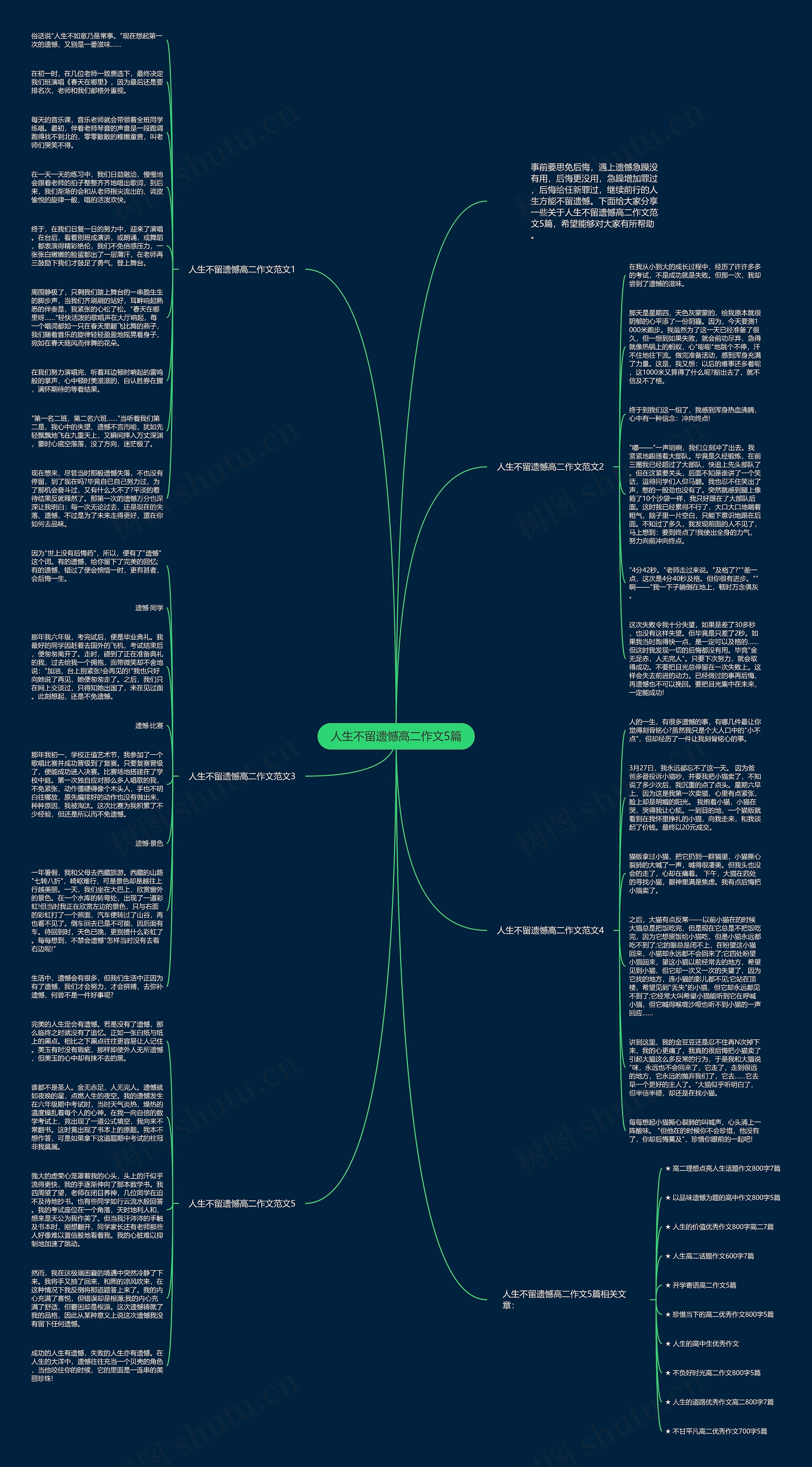人生不留遗憾高二作文5篇思维导图
