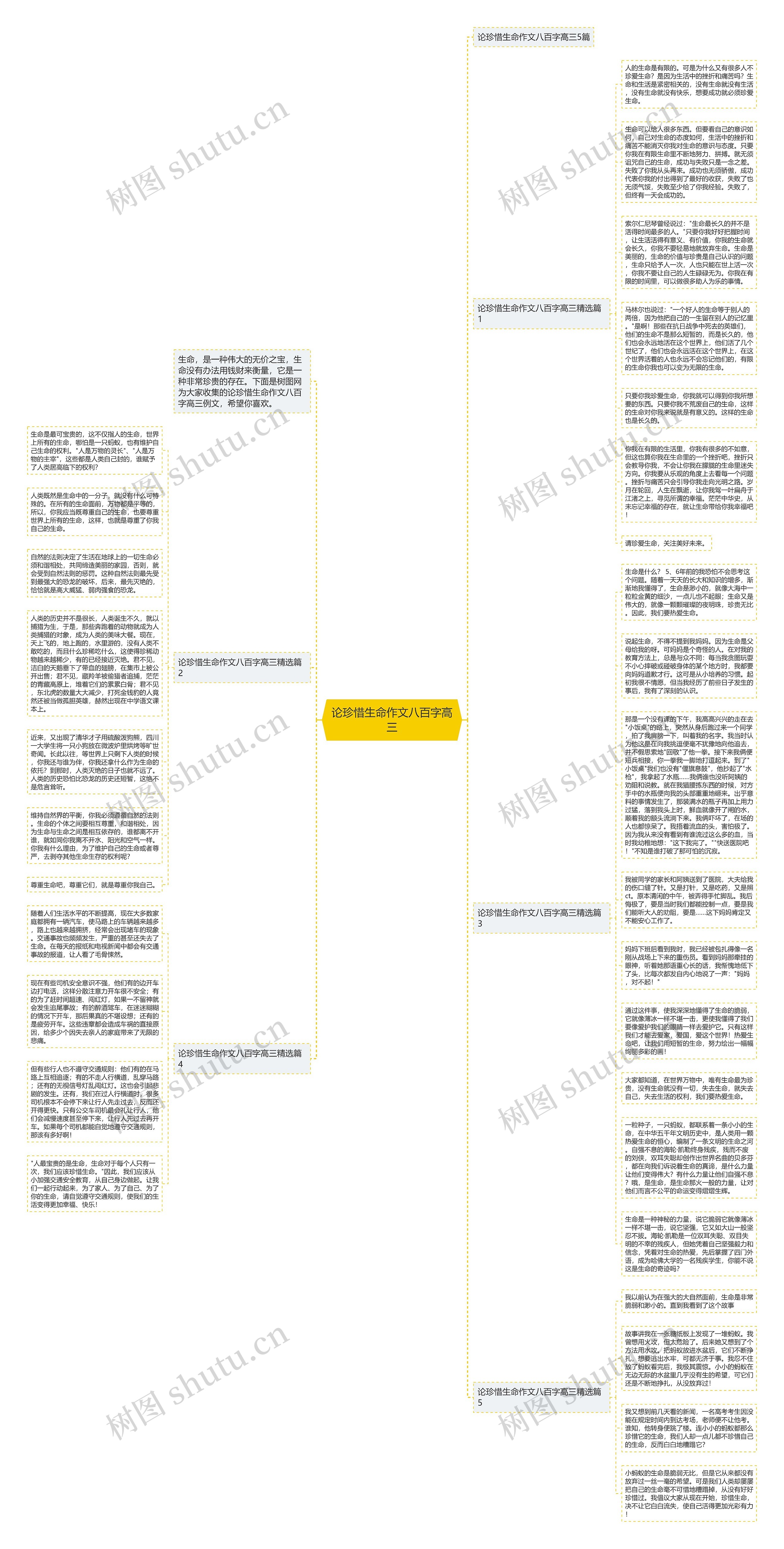 论珍惜生命作文八百字高三思维导图