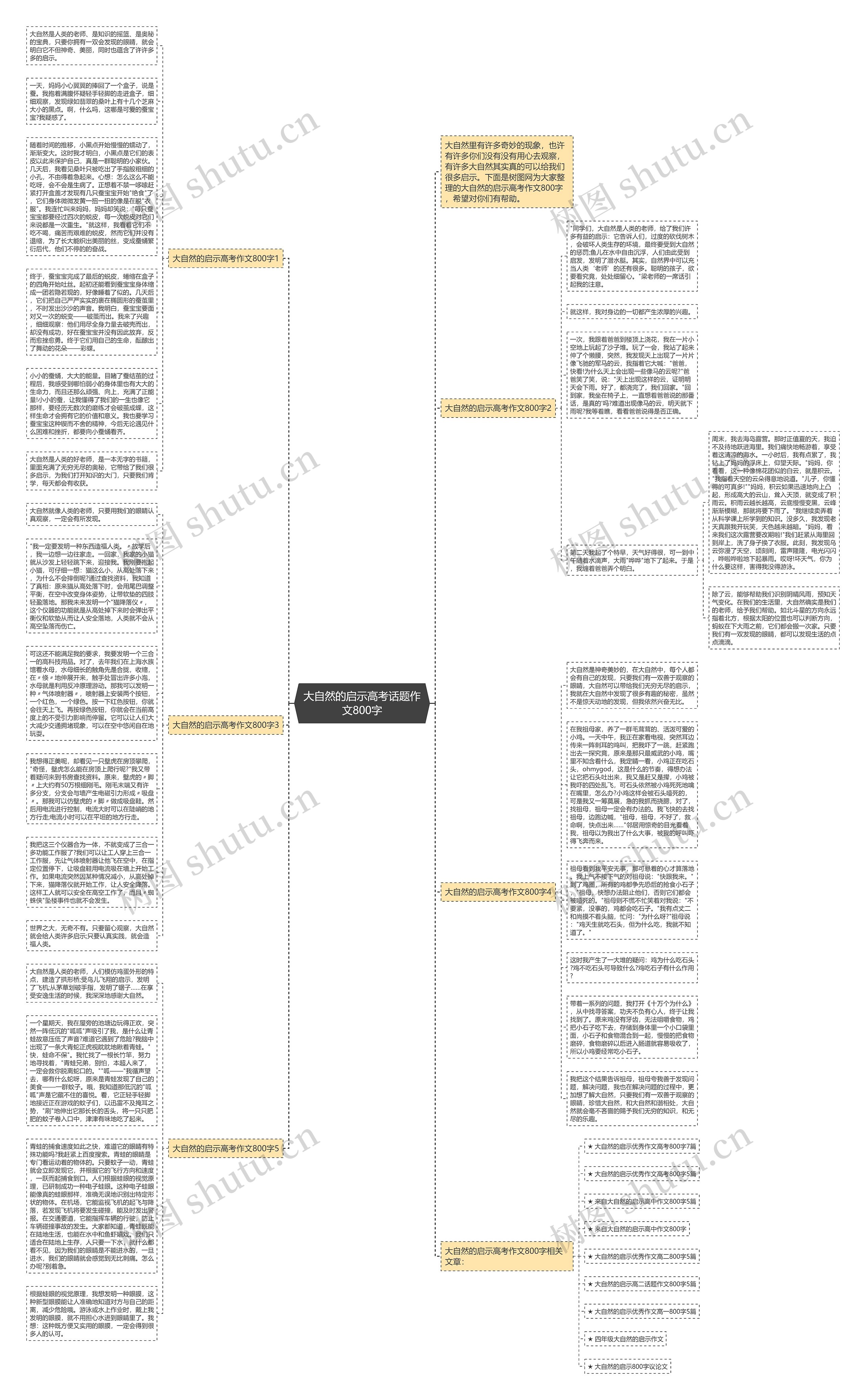 大自然的启示高考话题作文800字思维导图