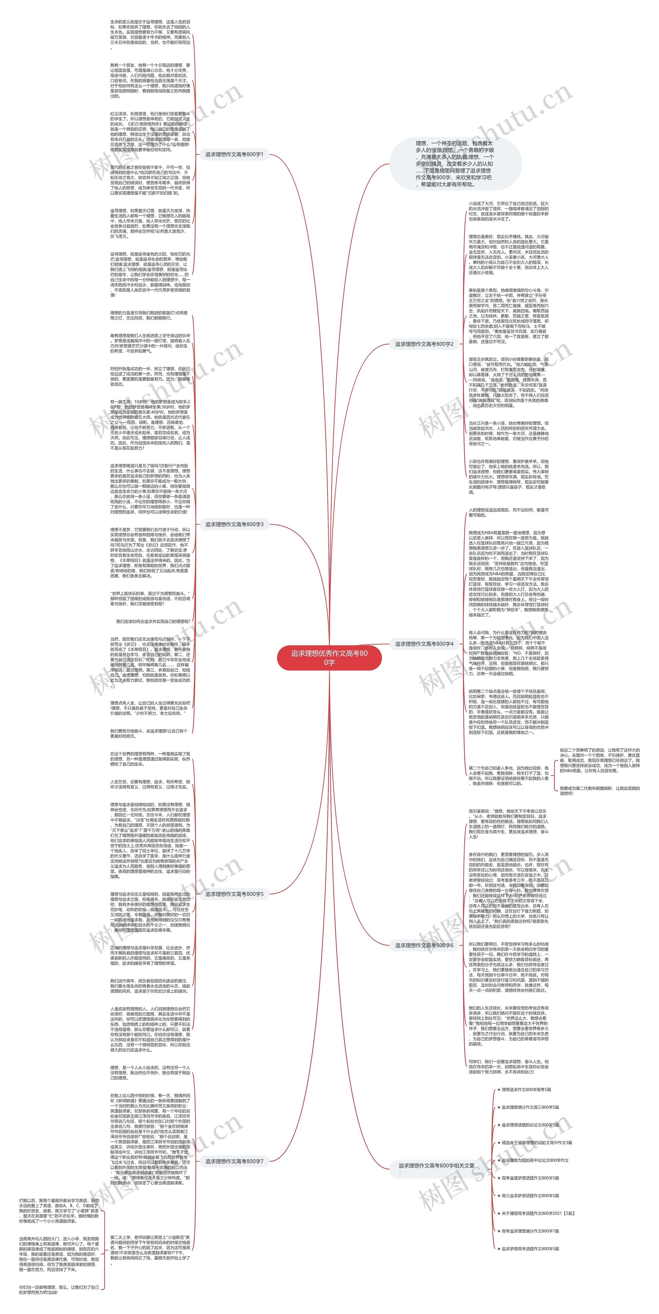 追求理想优秀作文高考800字思维导图