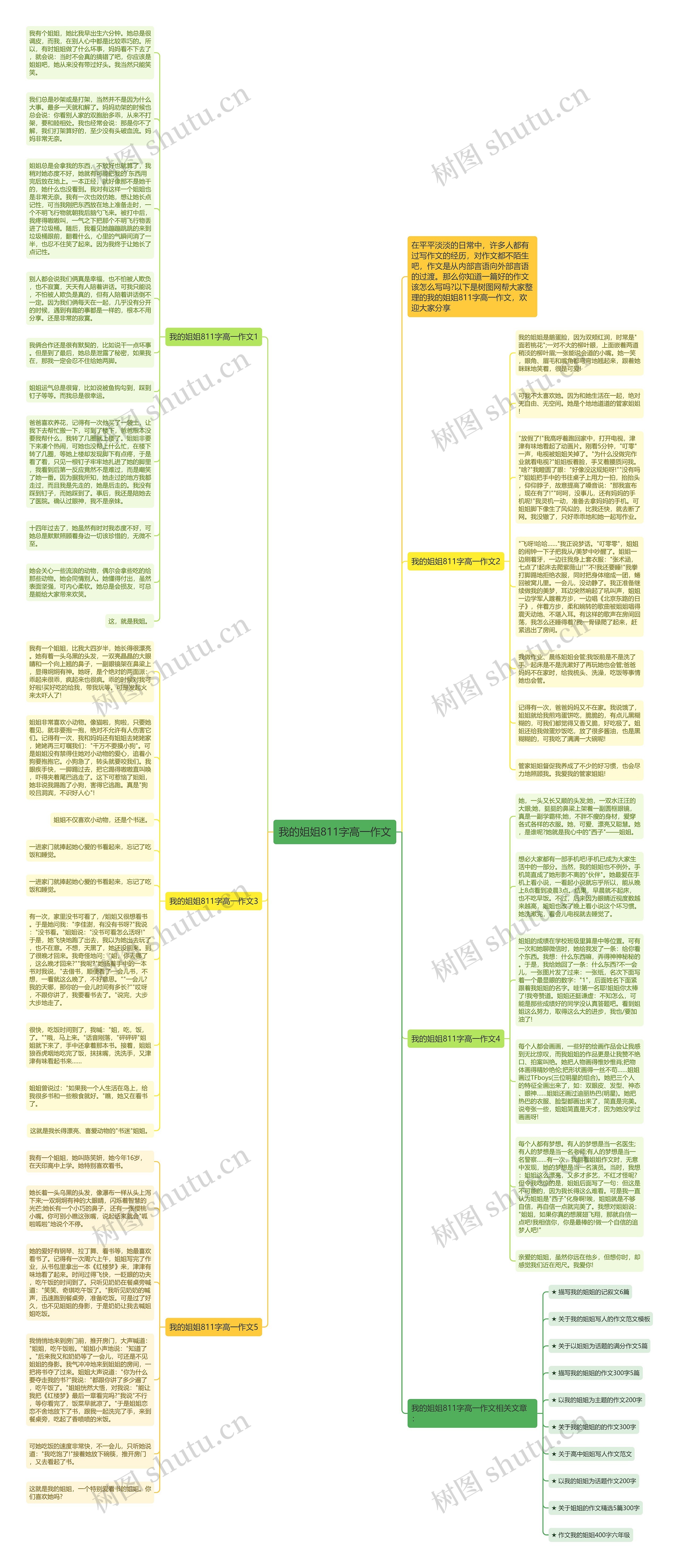 我的姐姐811字高一作文思维导图