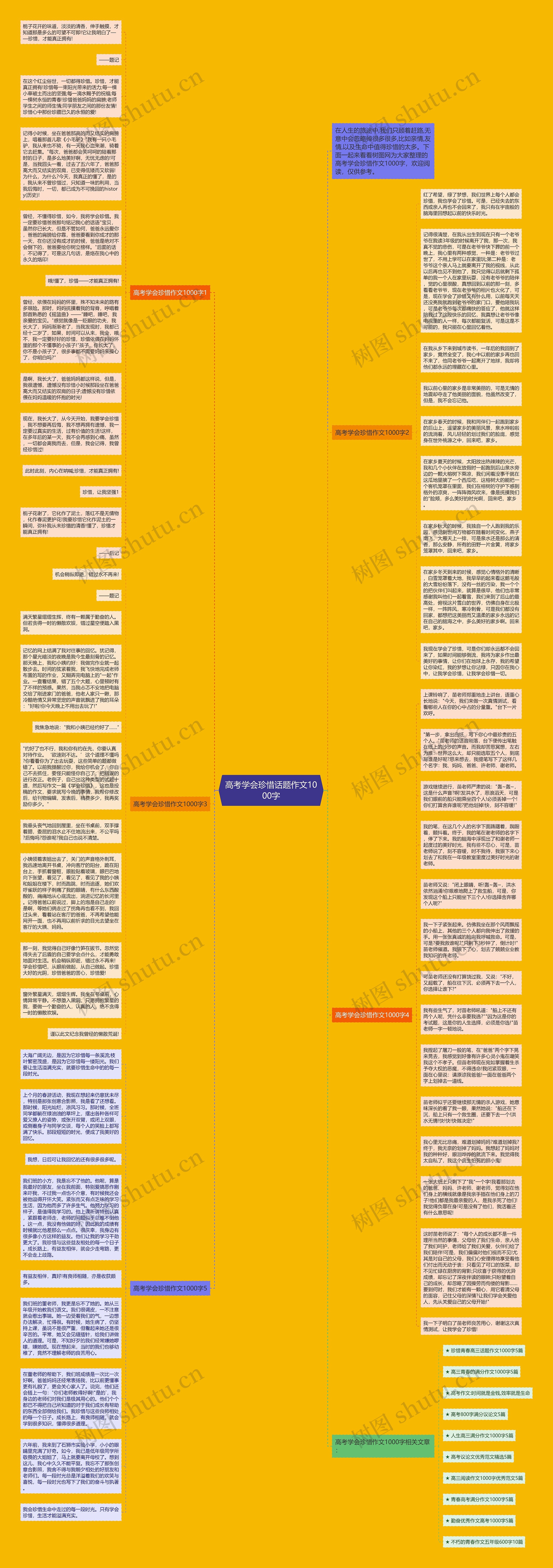 高考学会珍惜话题作文1000字思维导图
