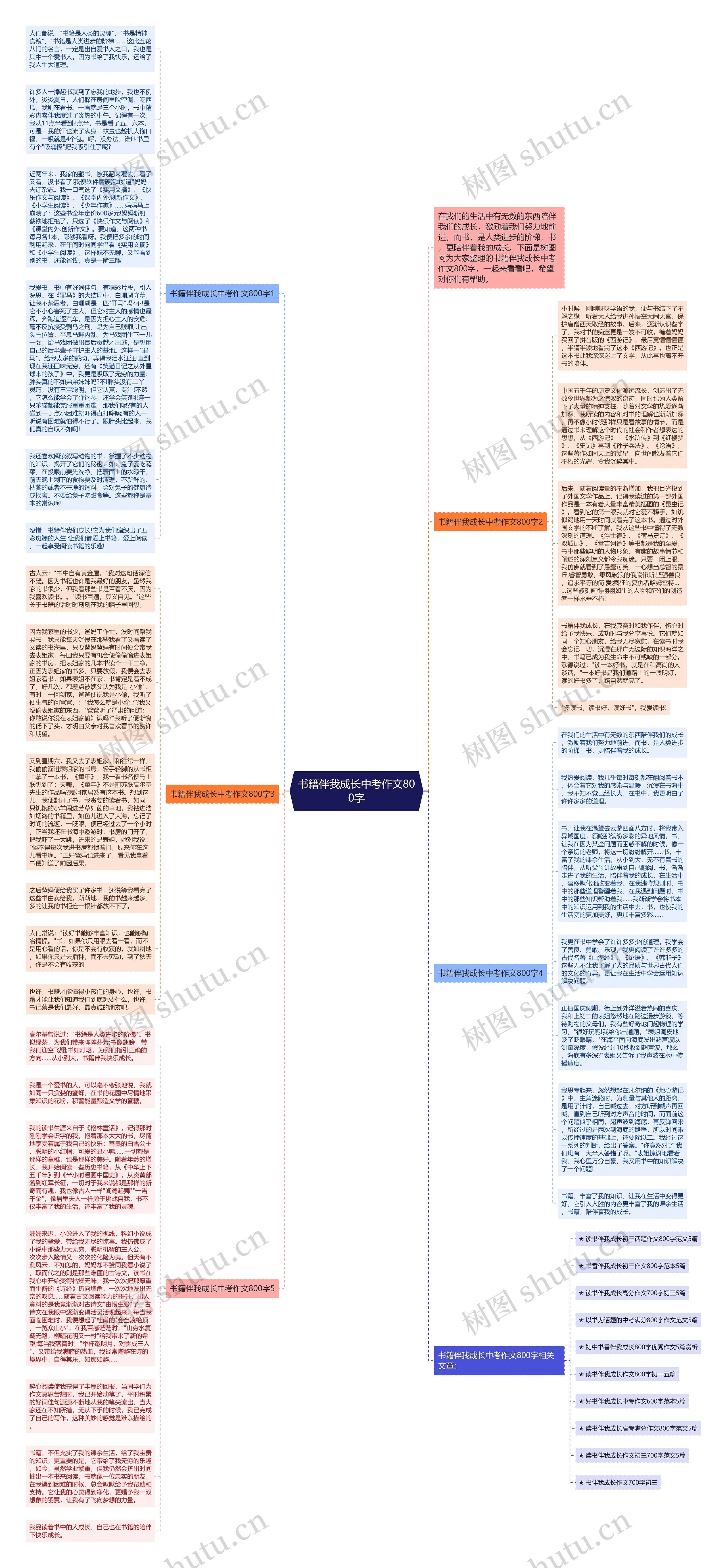 书籍伴我成长中考作文800字