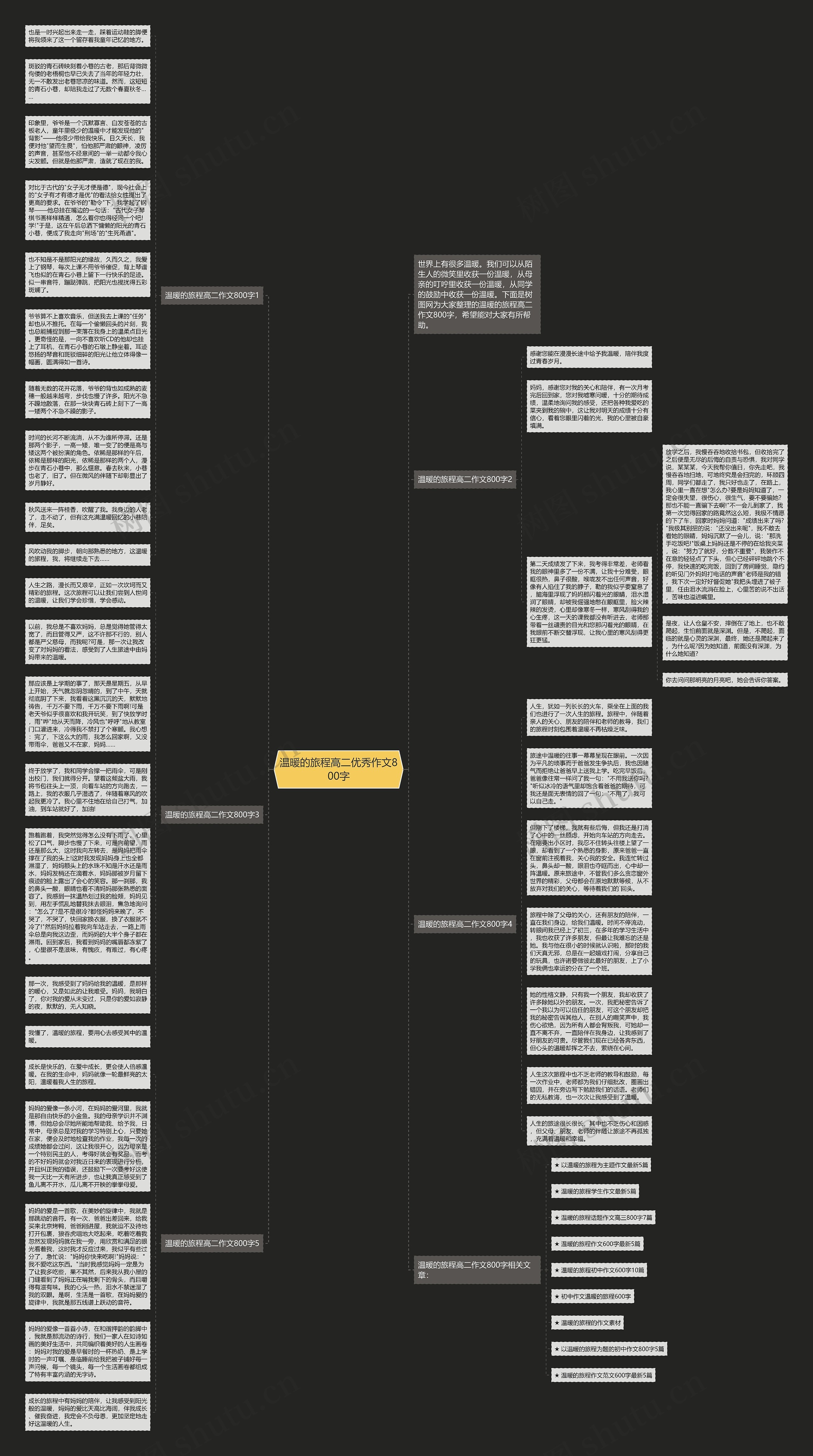 温暖的旅程高二优秀作文800字思维导图