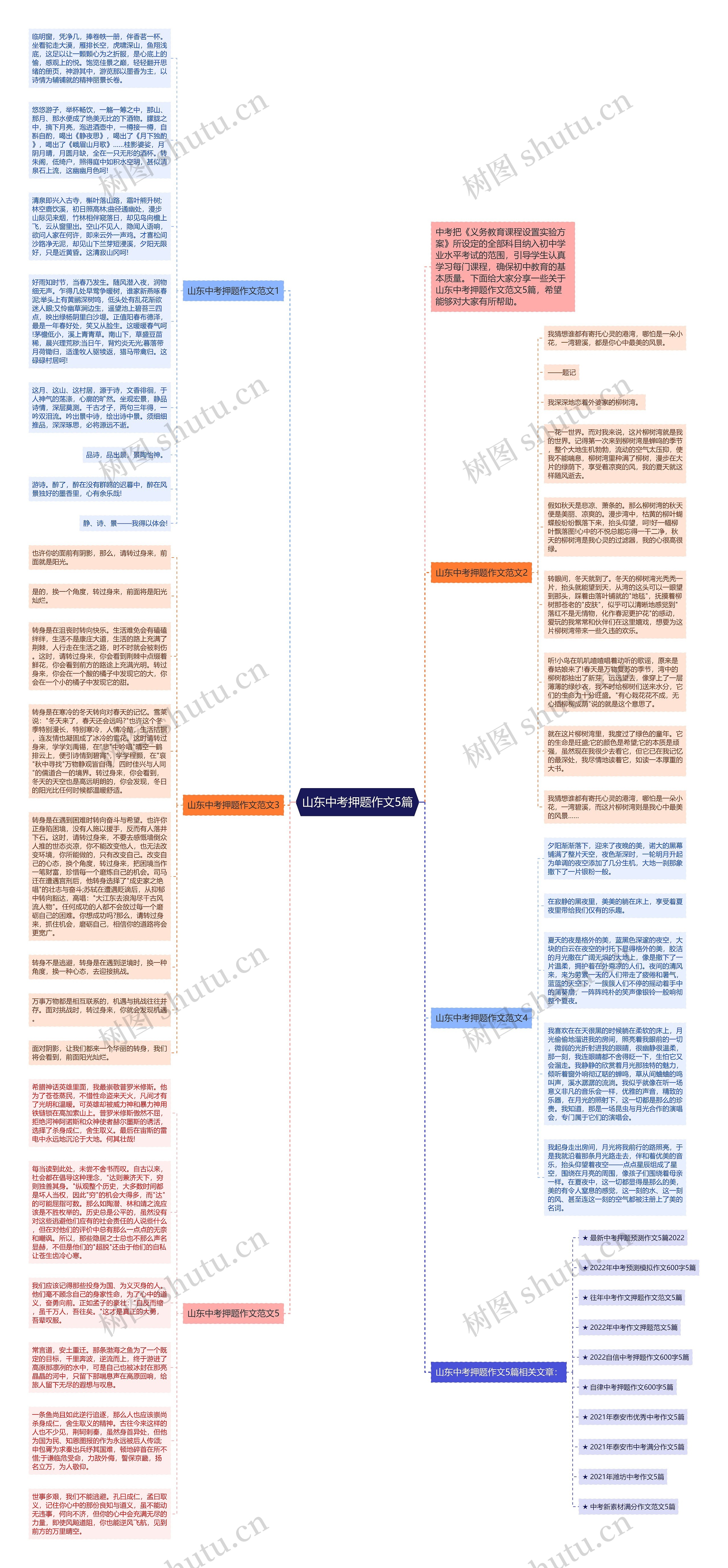 山东中考押题作文5篇思维导图