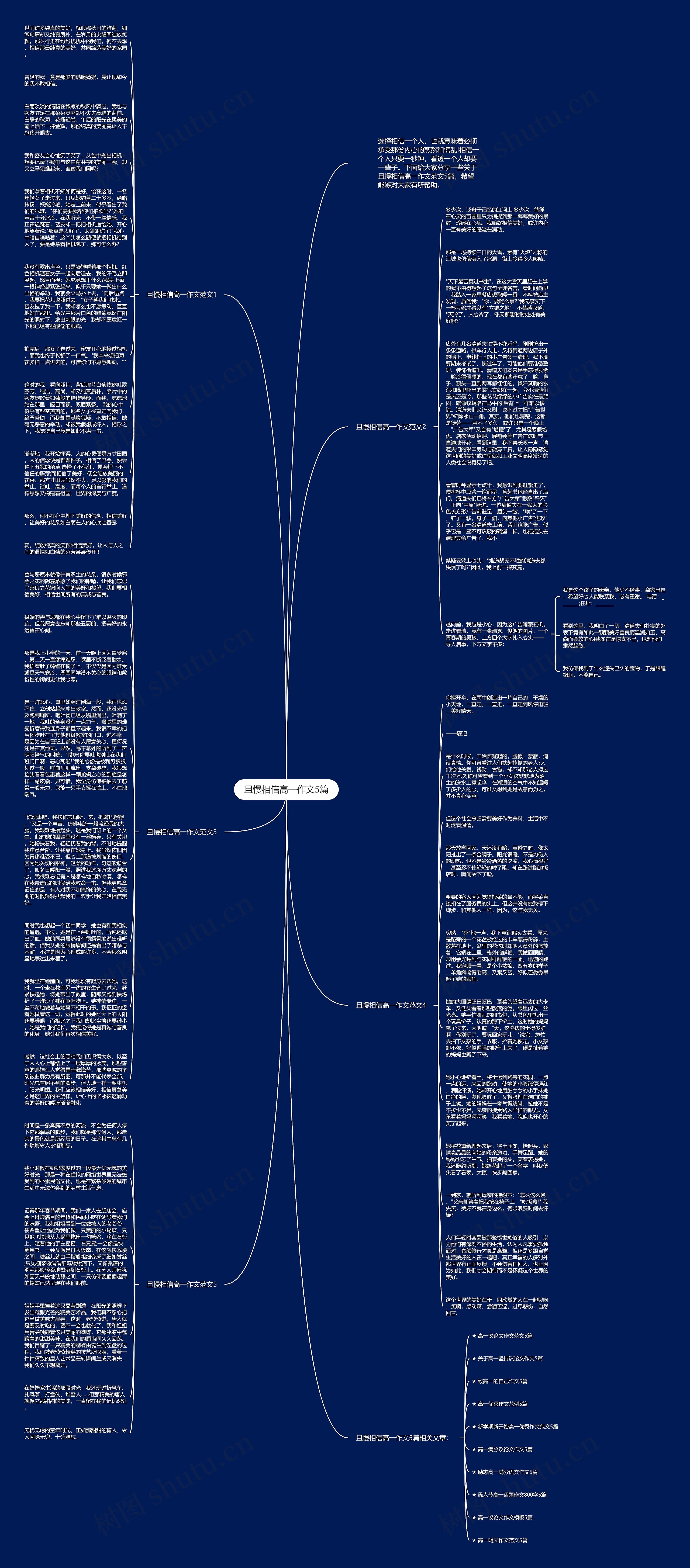 且慢相信高一作文5篇思维导图