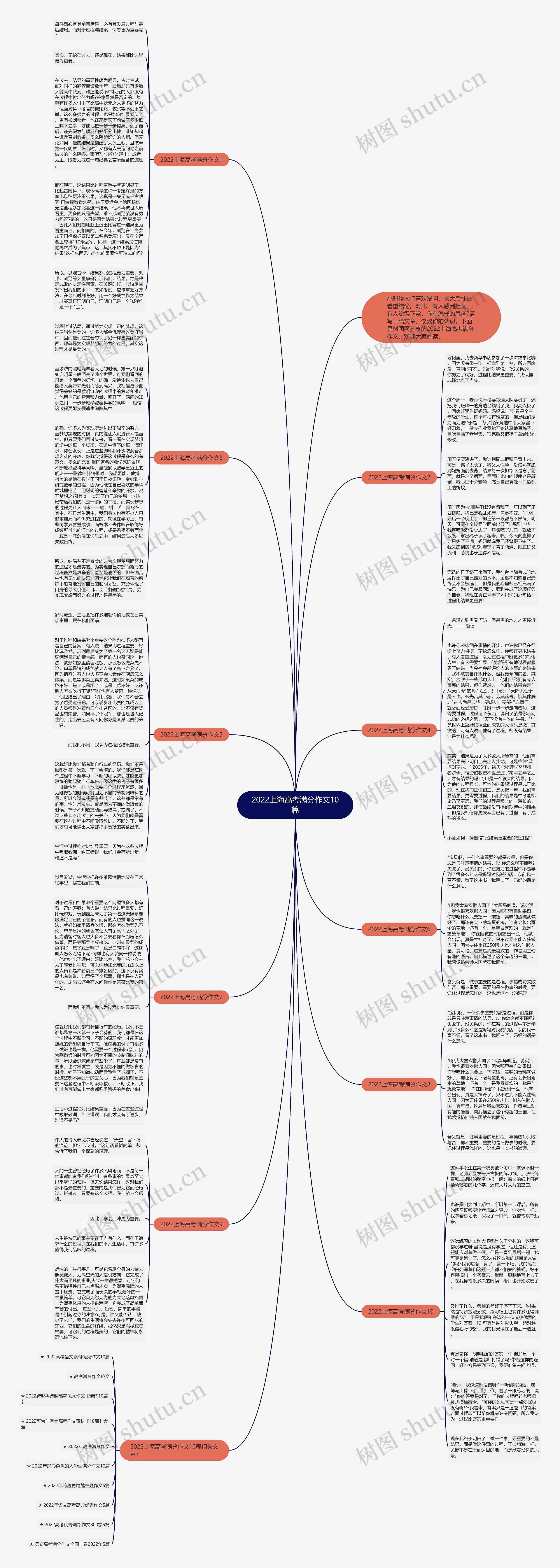 2022上海高考满分作文10篇思维导图