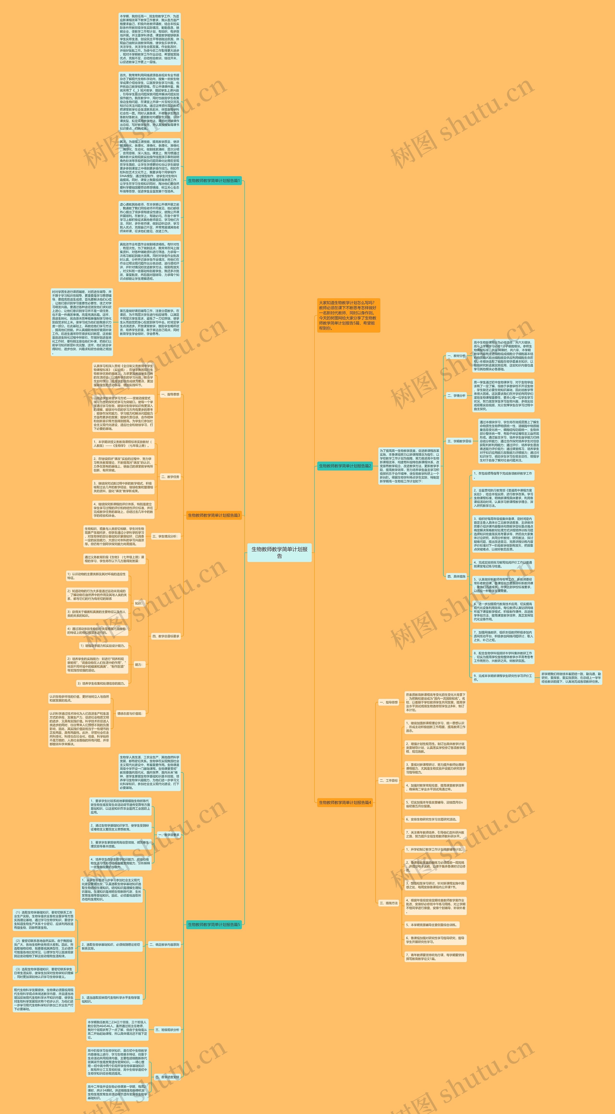 生物教师教学简单计划报告思维导图高清图 生物教师教学简单计划报告思维导图