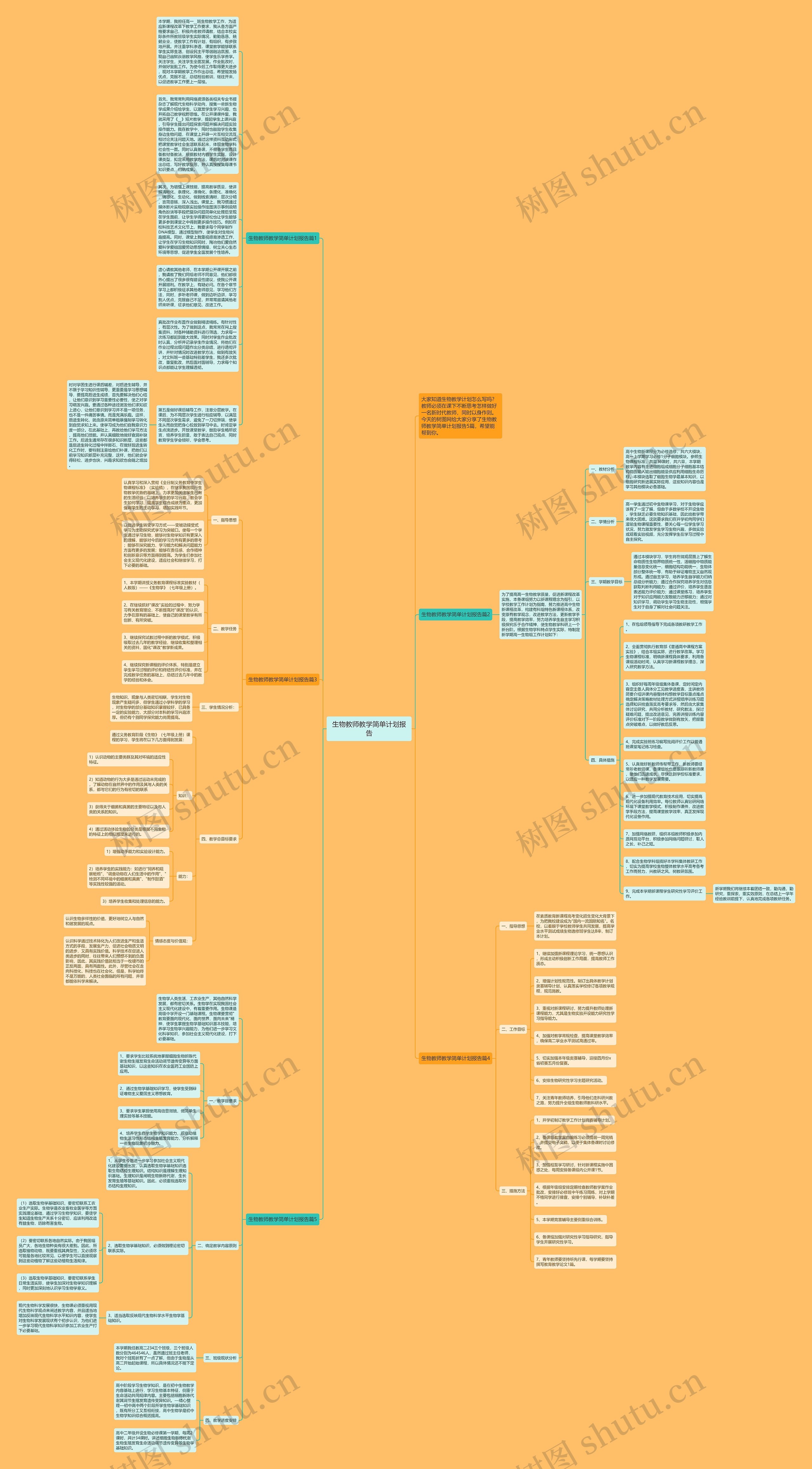 生物教师教学简单计划报告思维导图