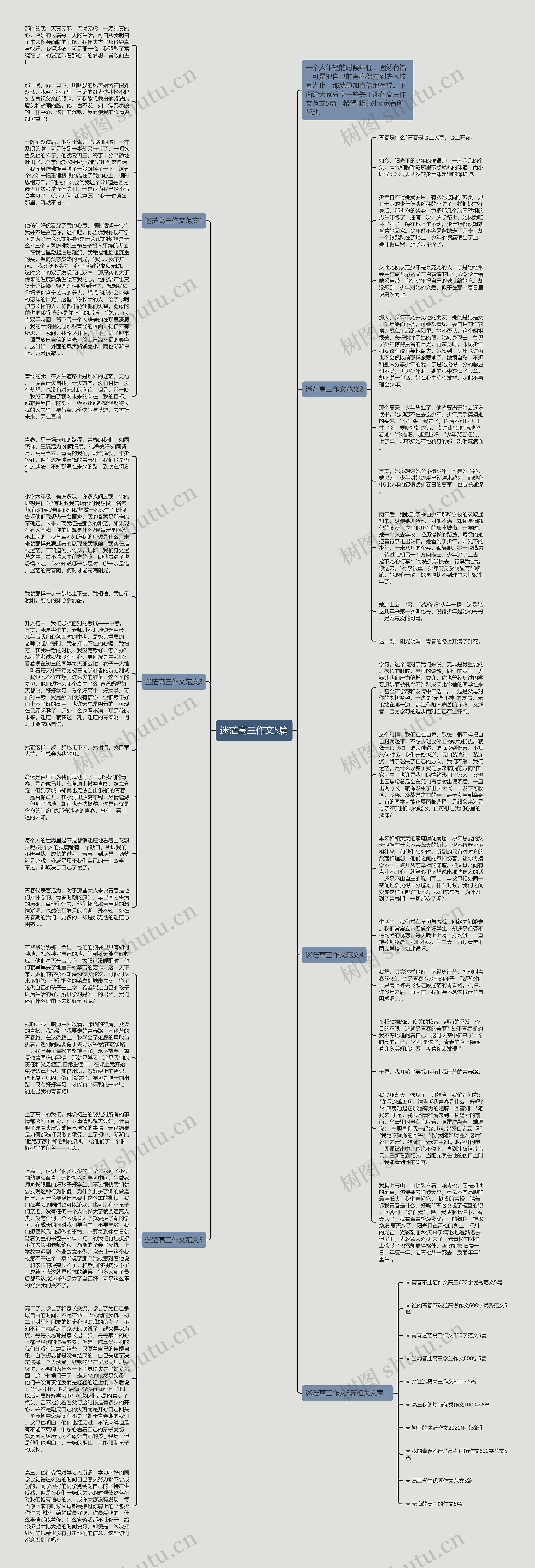 迷茫高三作文5篇思维导图