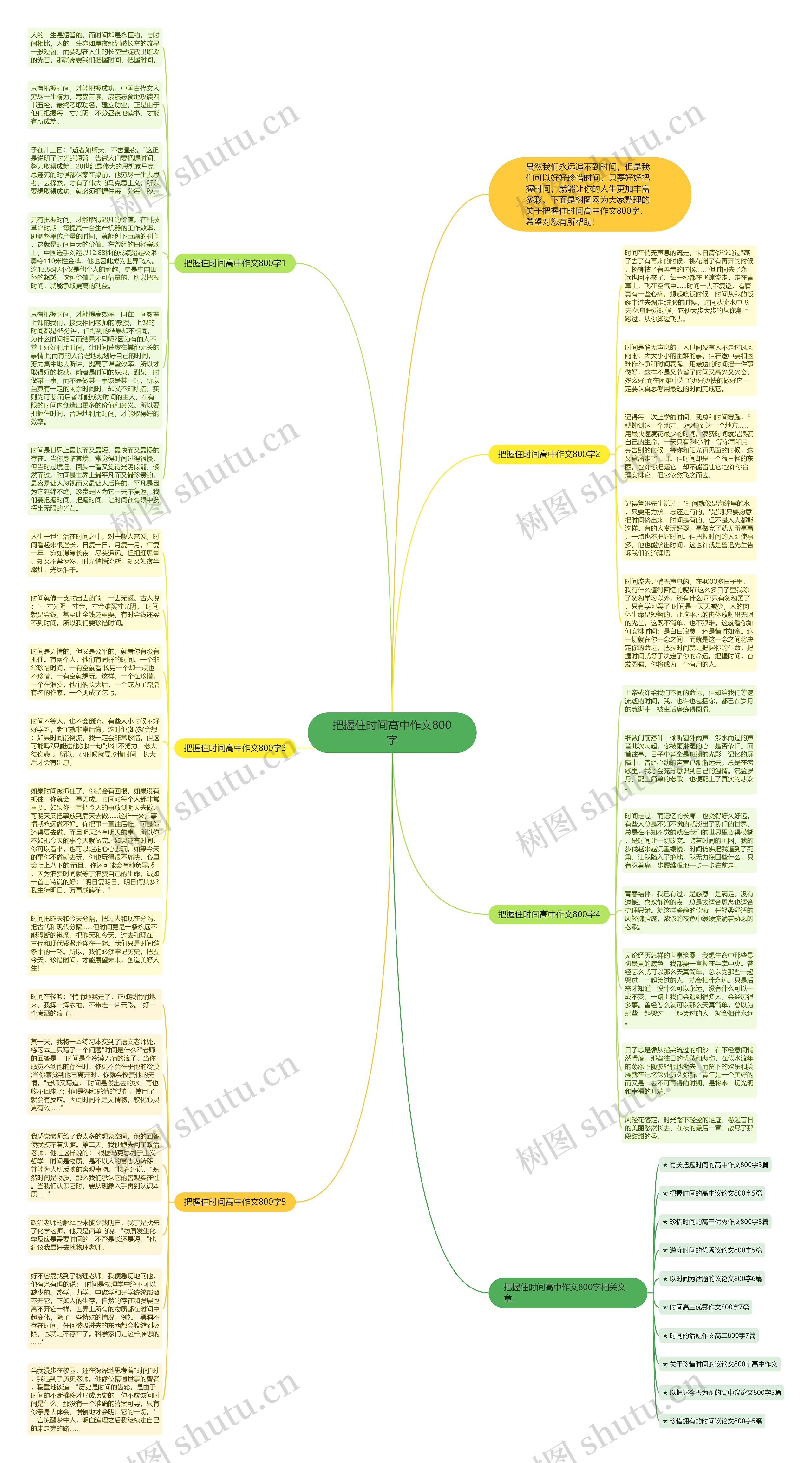 把握住时间高中作文800字思维导图