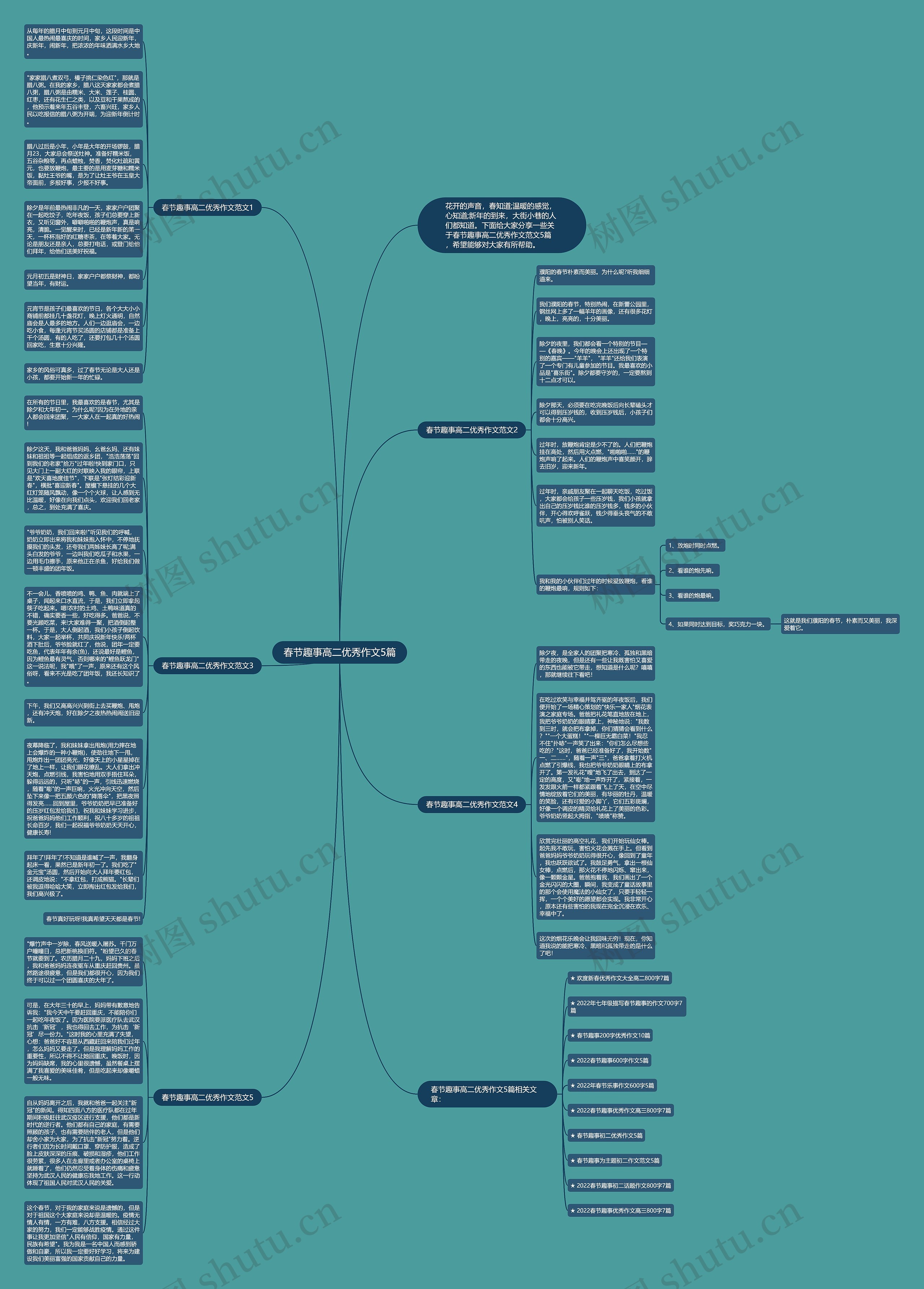 春节趣事高二优秀作文5篇思维导图