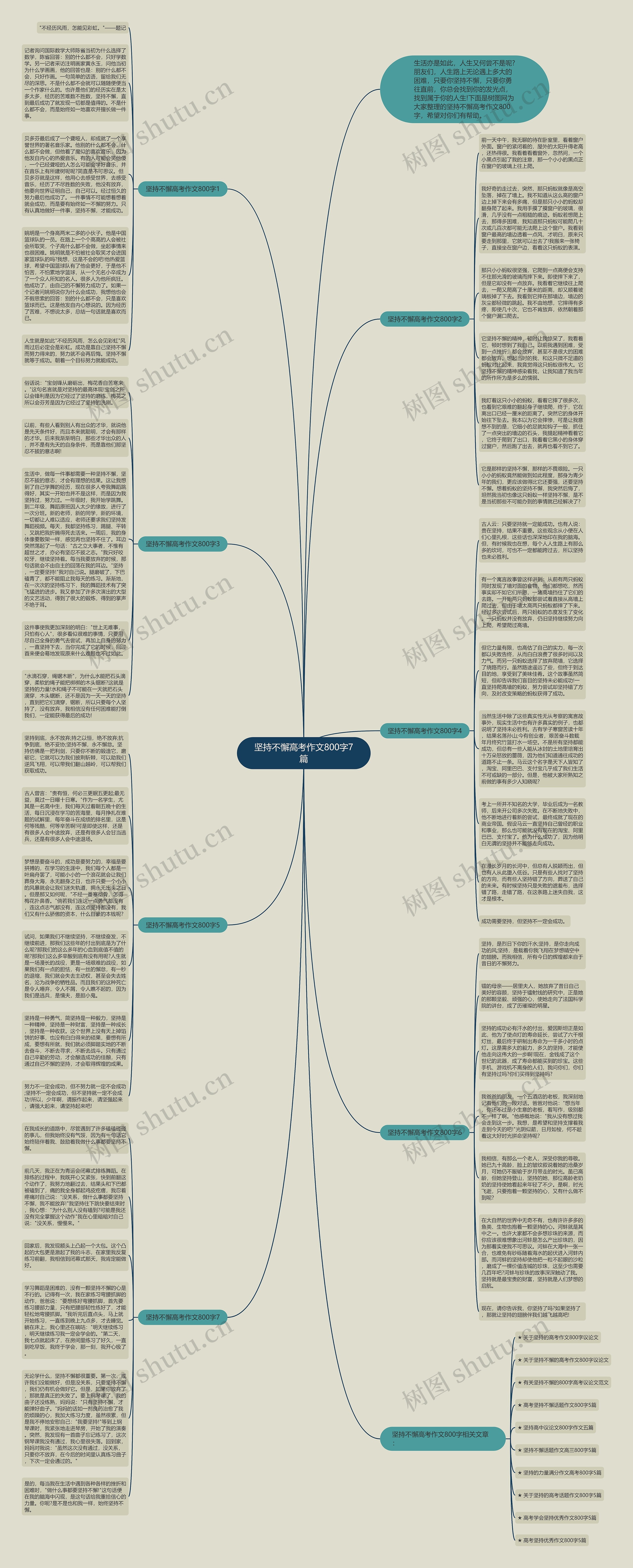 坚持不懈高考作文800字7篇思维导图
