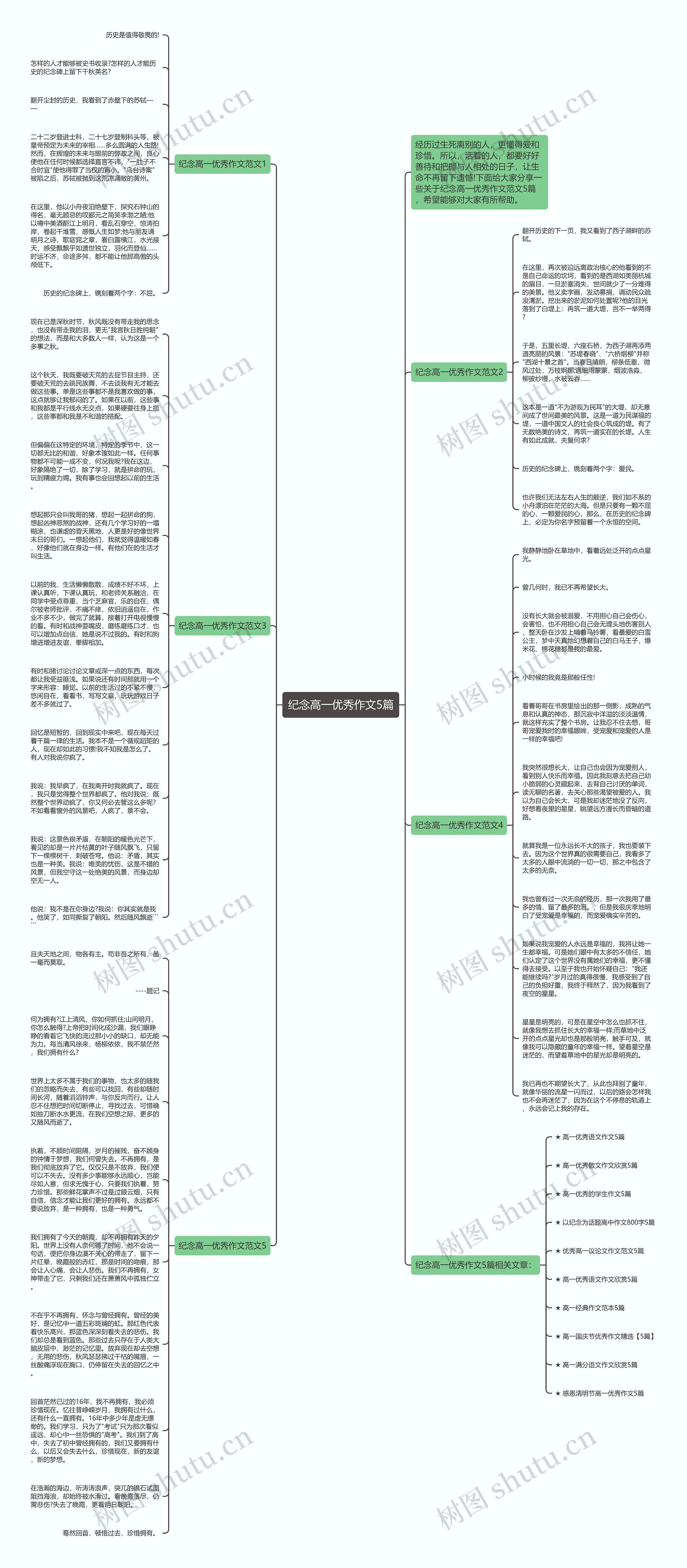 纪念高一优秀作文5篇思维导图