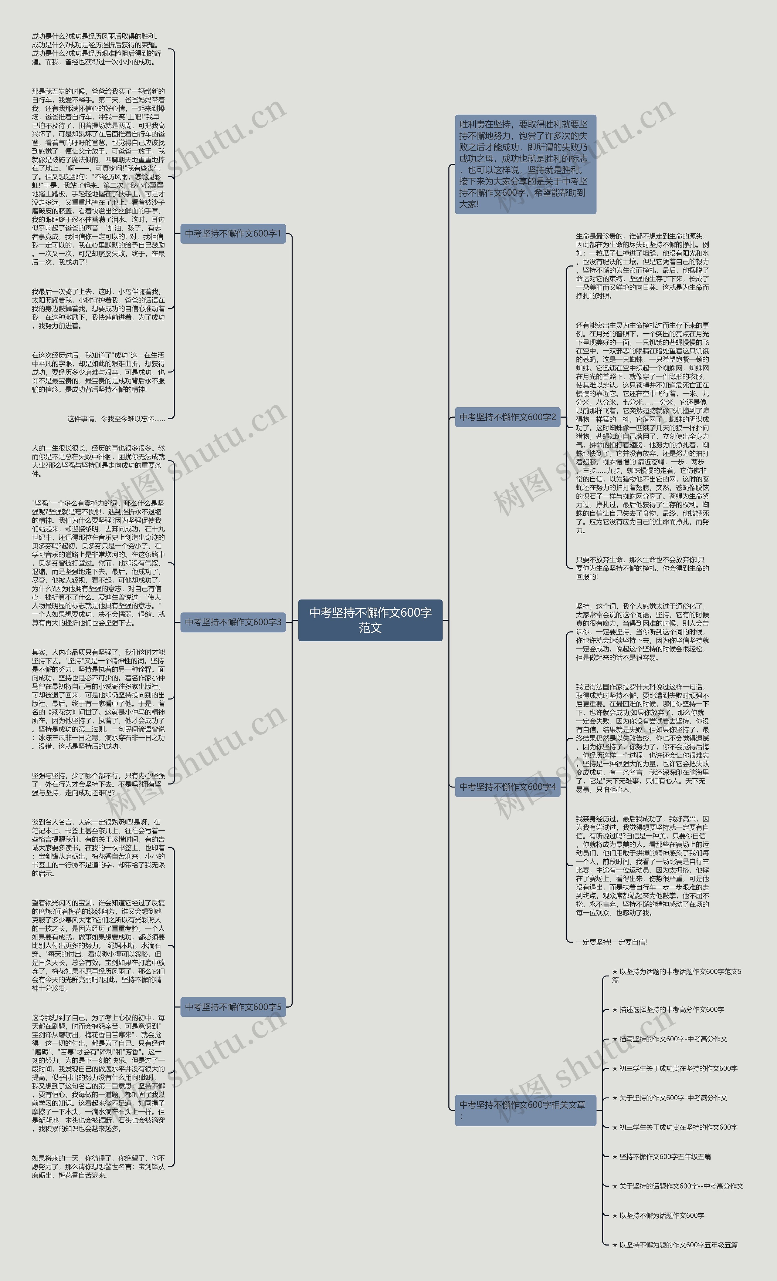 中考坚持不懈作文600字范文思维导图