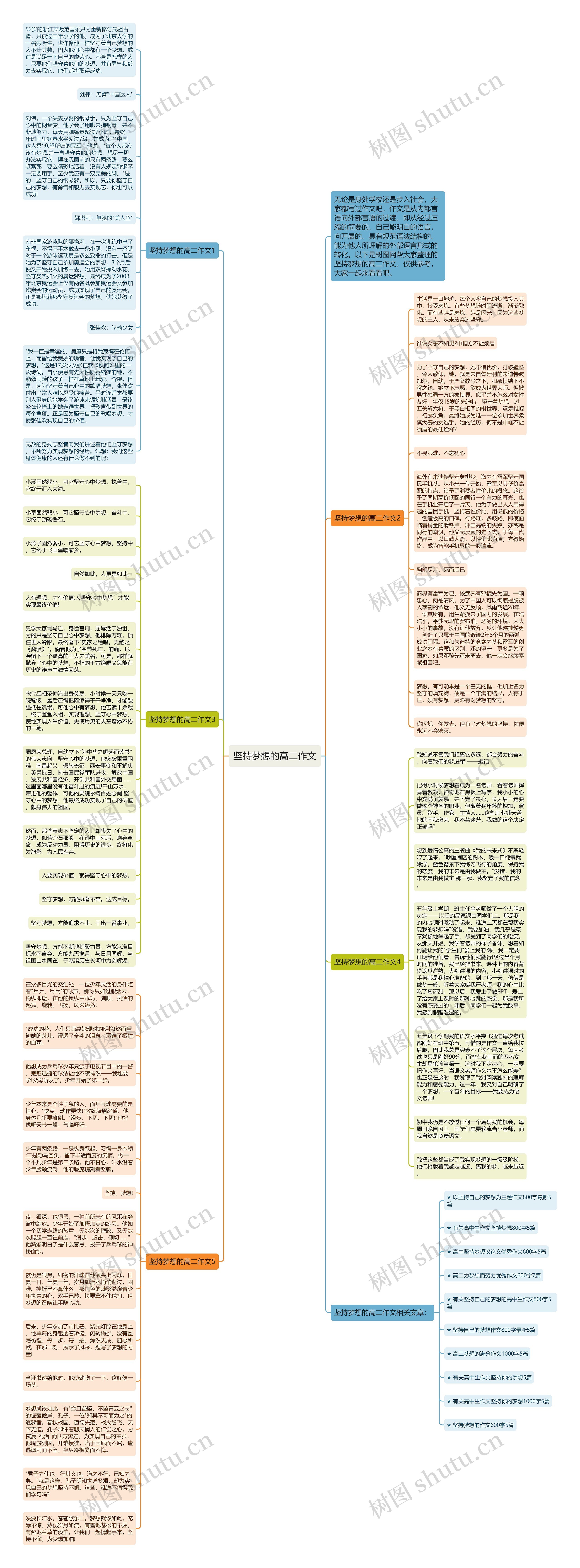坚持梦想的高二作文思维导图