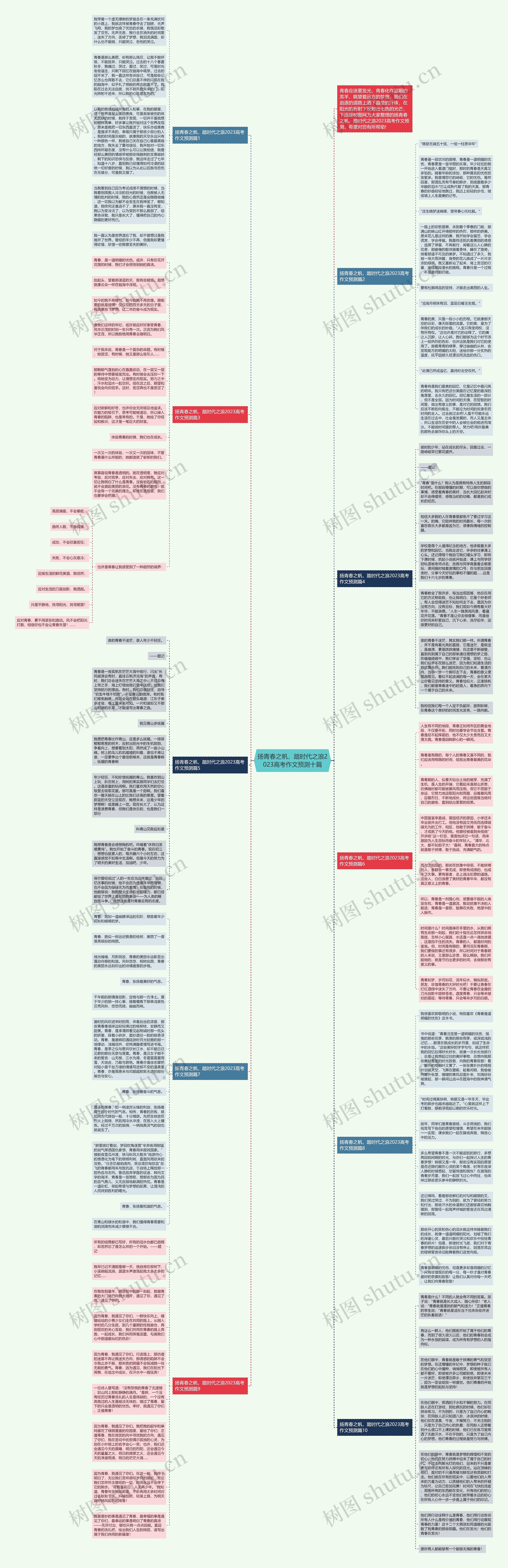 扬青春之帆，踏时代之浪2023高考作文预测十篇思维导图