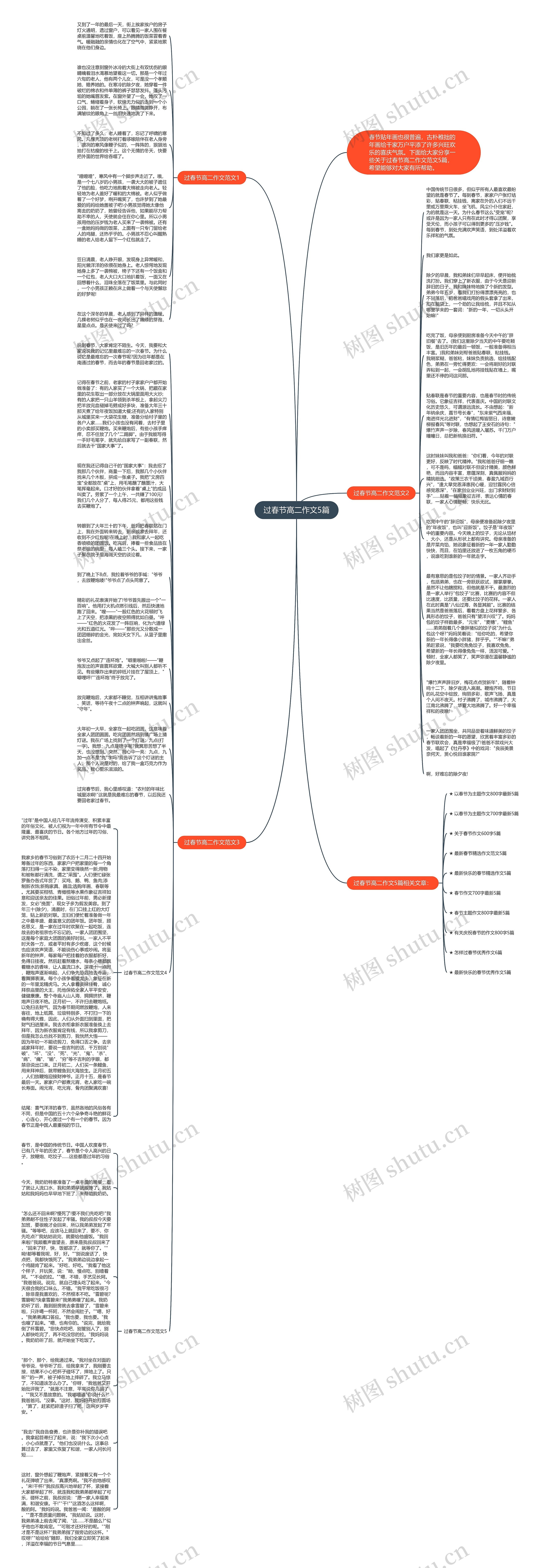 过春节高二作文5篇思维导图