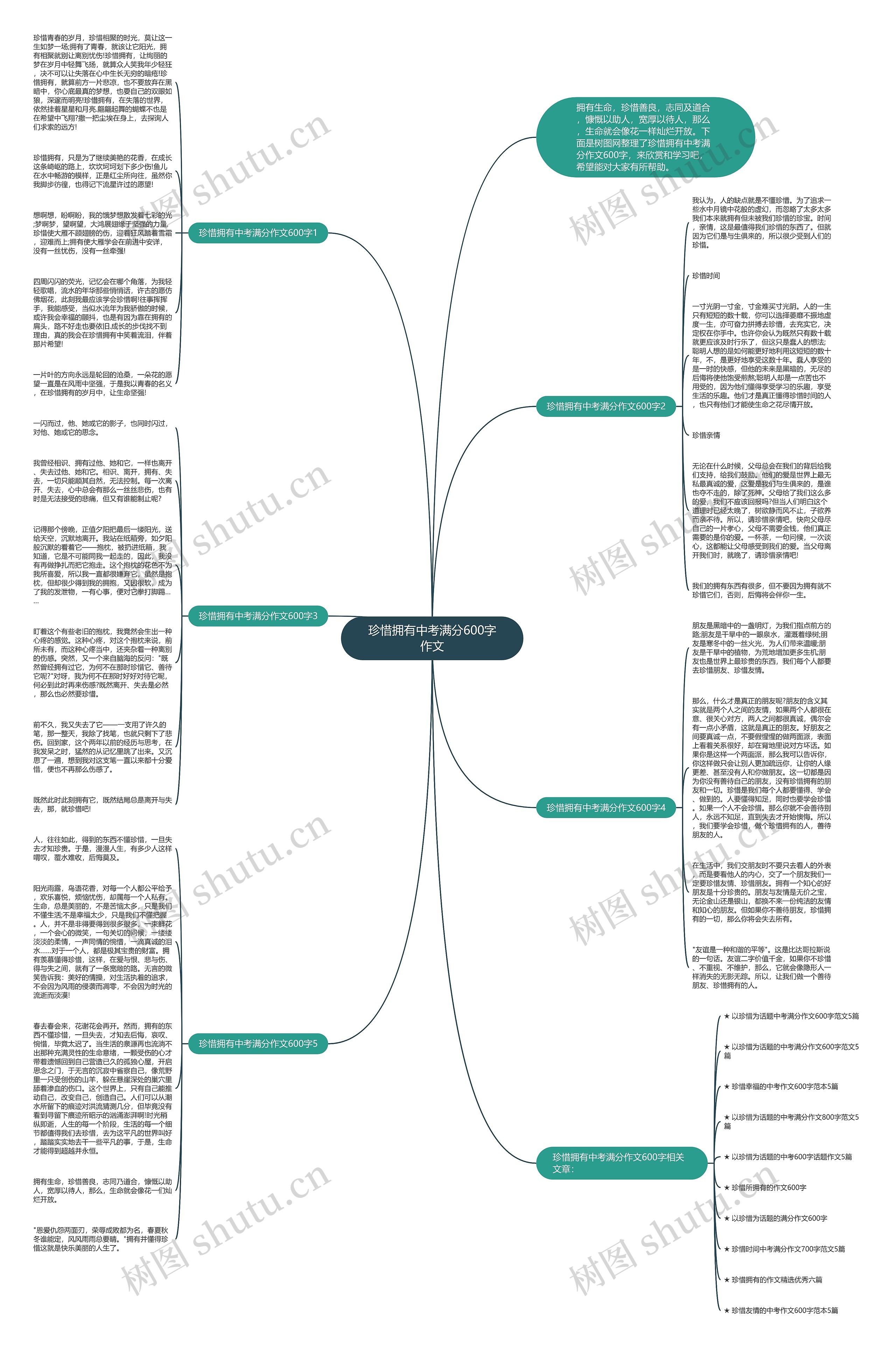 珍惜拥有中考满分600字作文思维导图