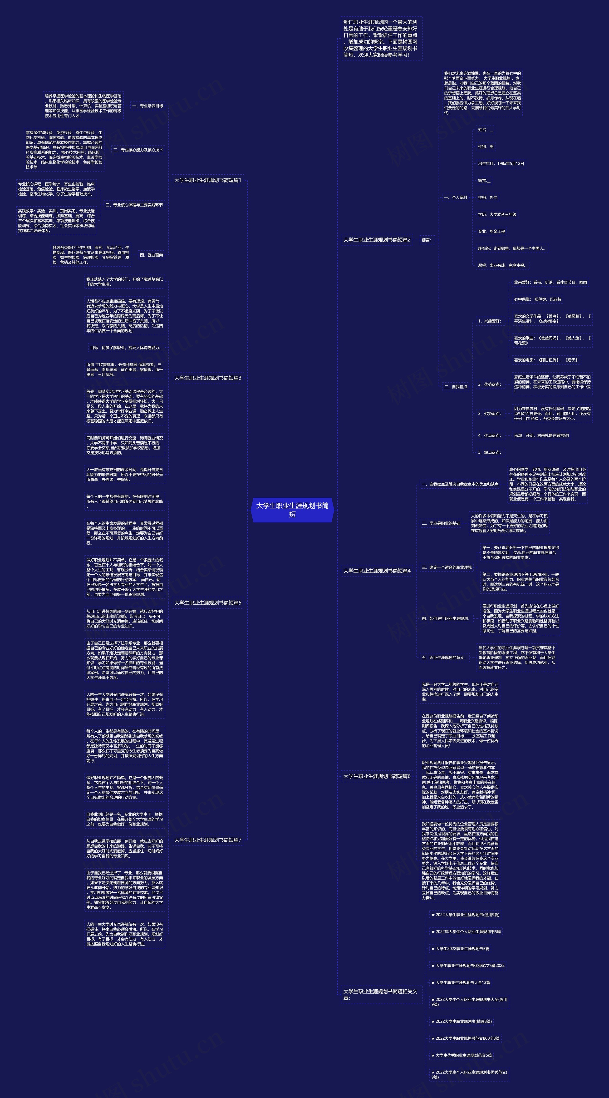 大学生职业生涯规划书简短思维导图
