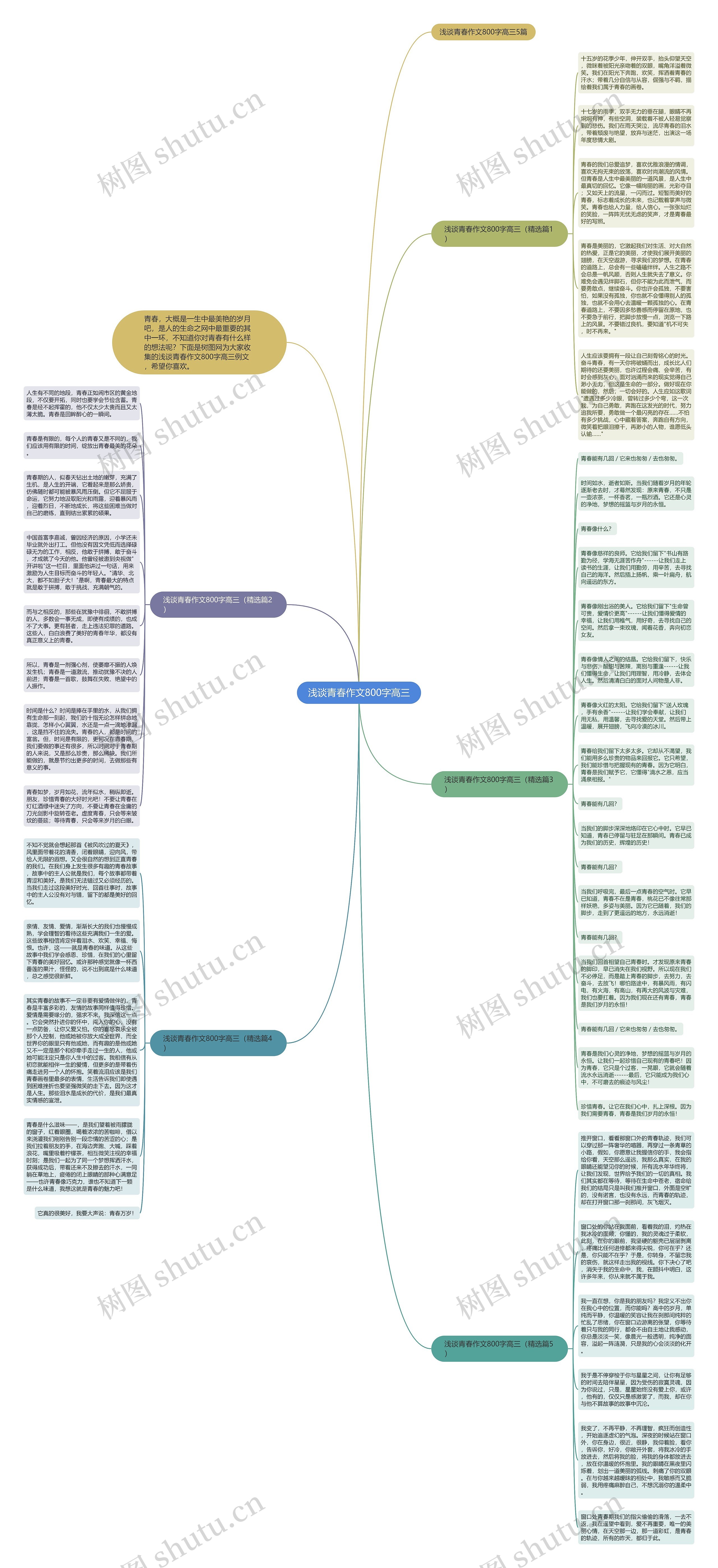 浅谈青春作文800字高三思维导图