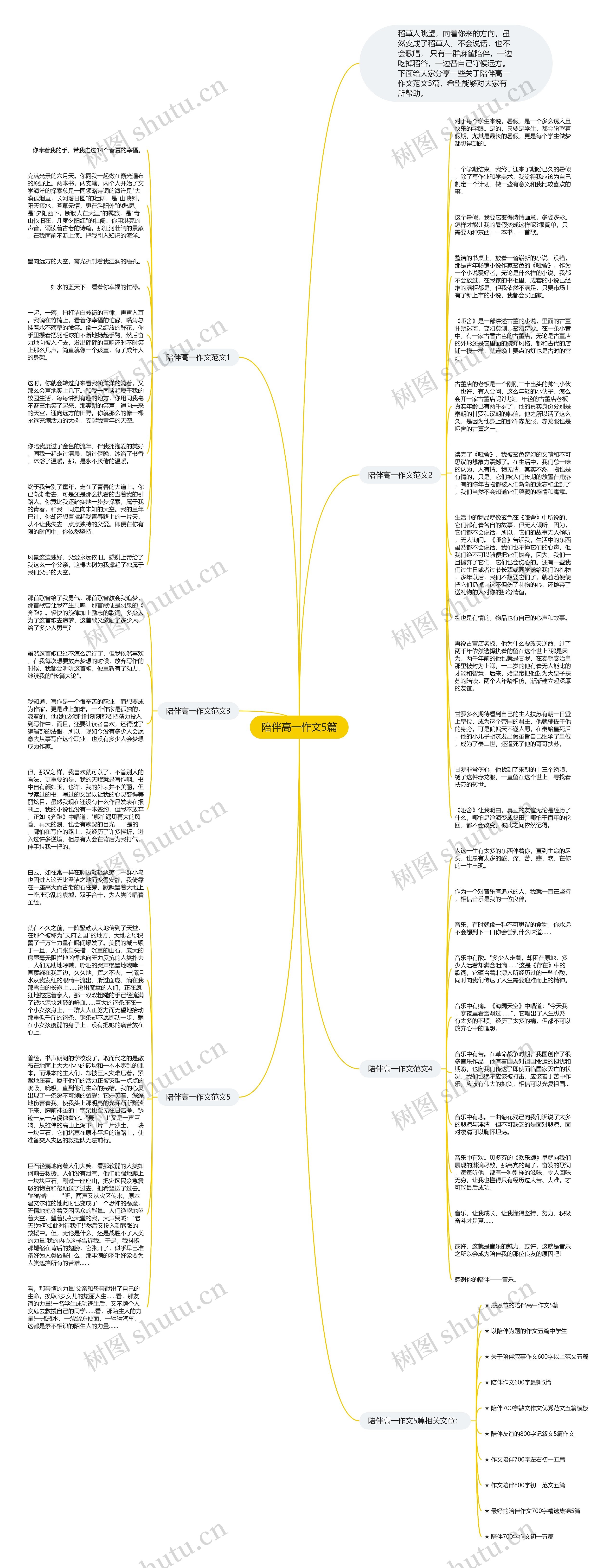 陪伴高一作文5篇思维导图