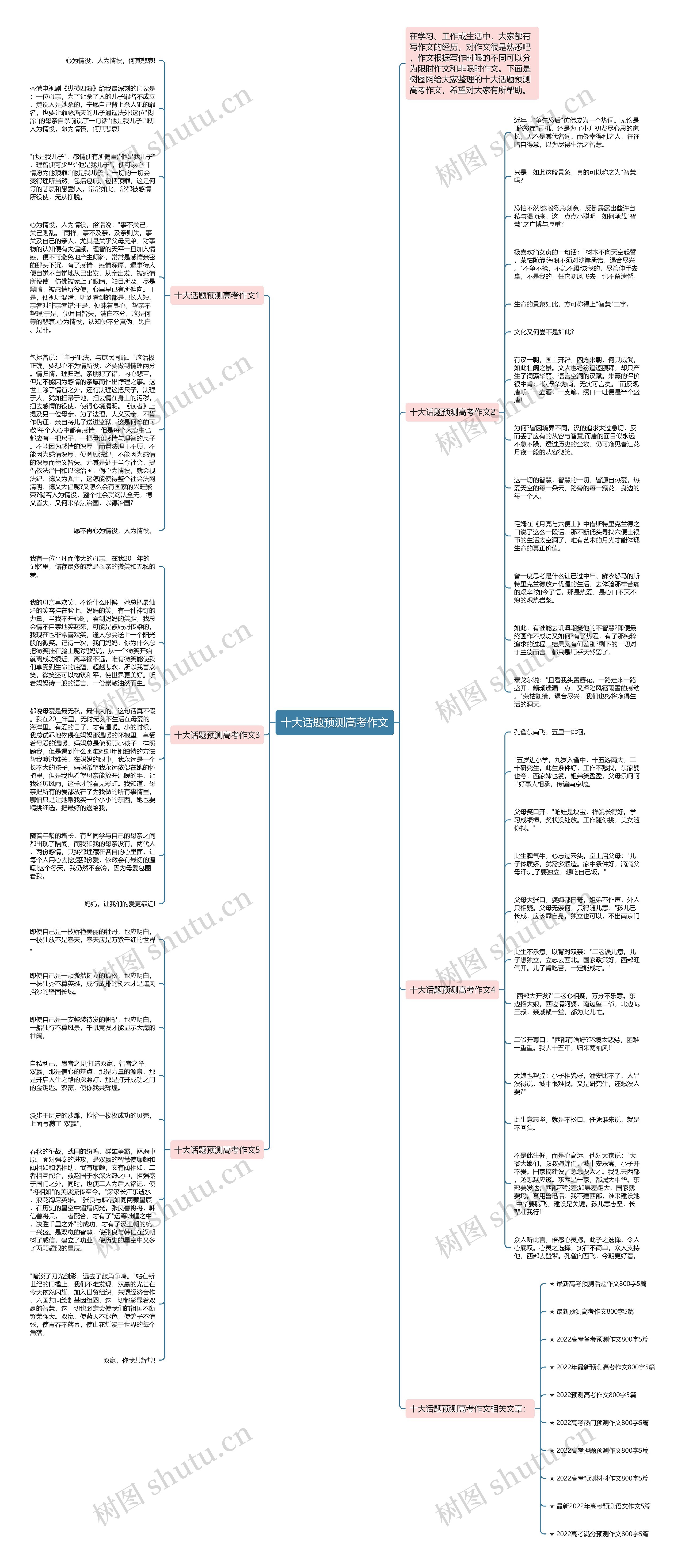 十大话题预测高考作文思维导图