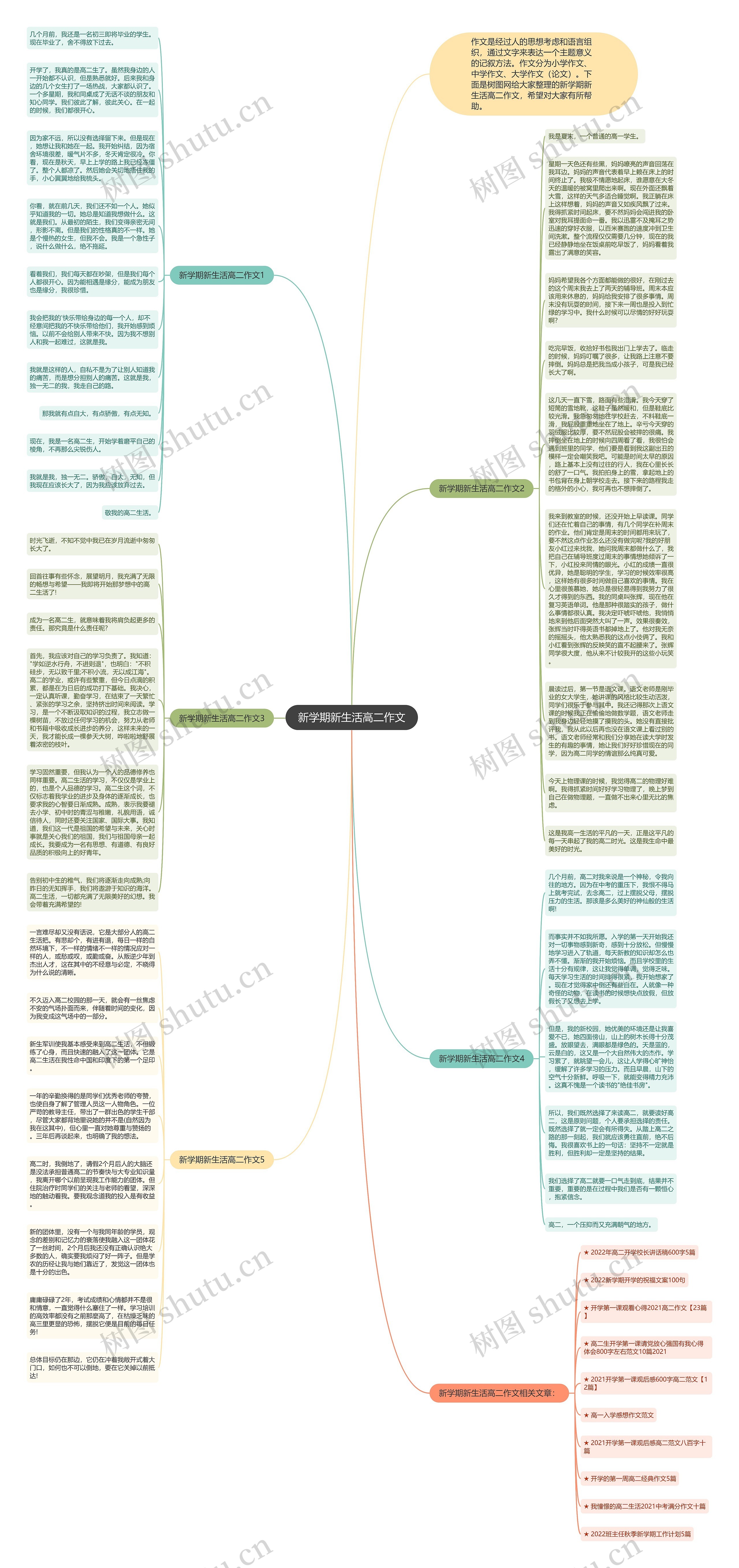 新学期新生活高二作文思维导图