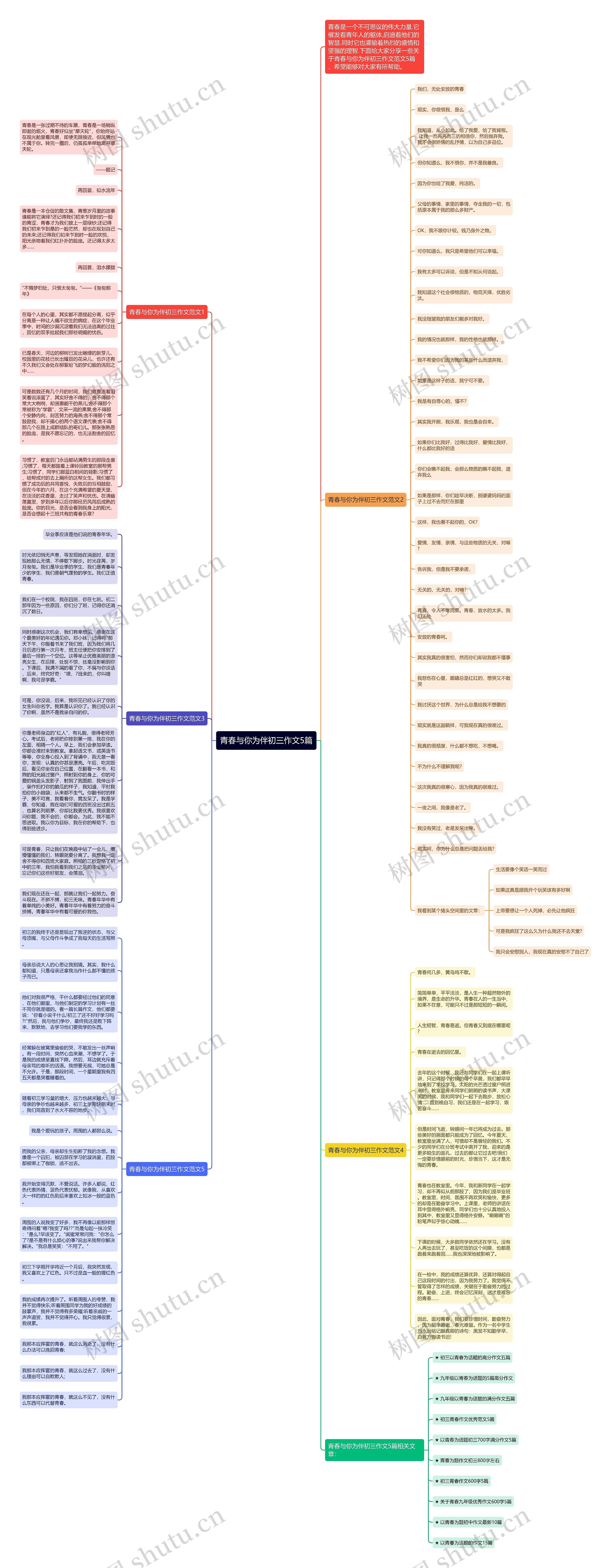 青春与你为伴初三作文5篇思维导图