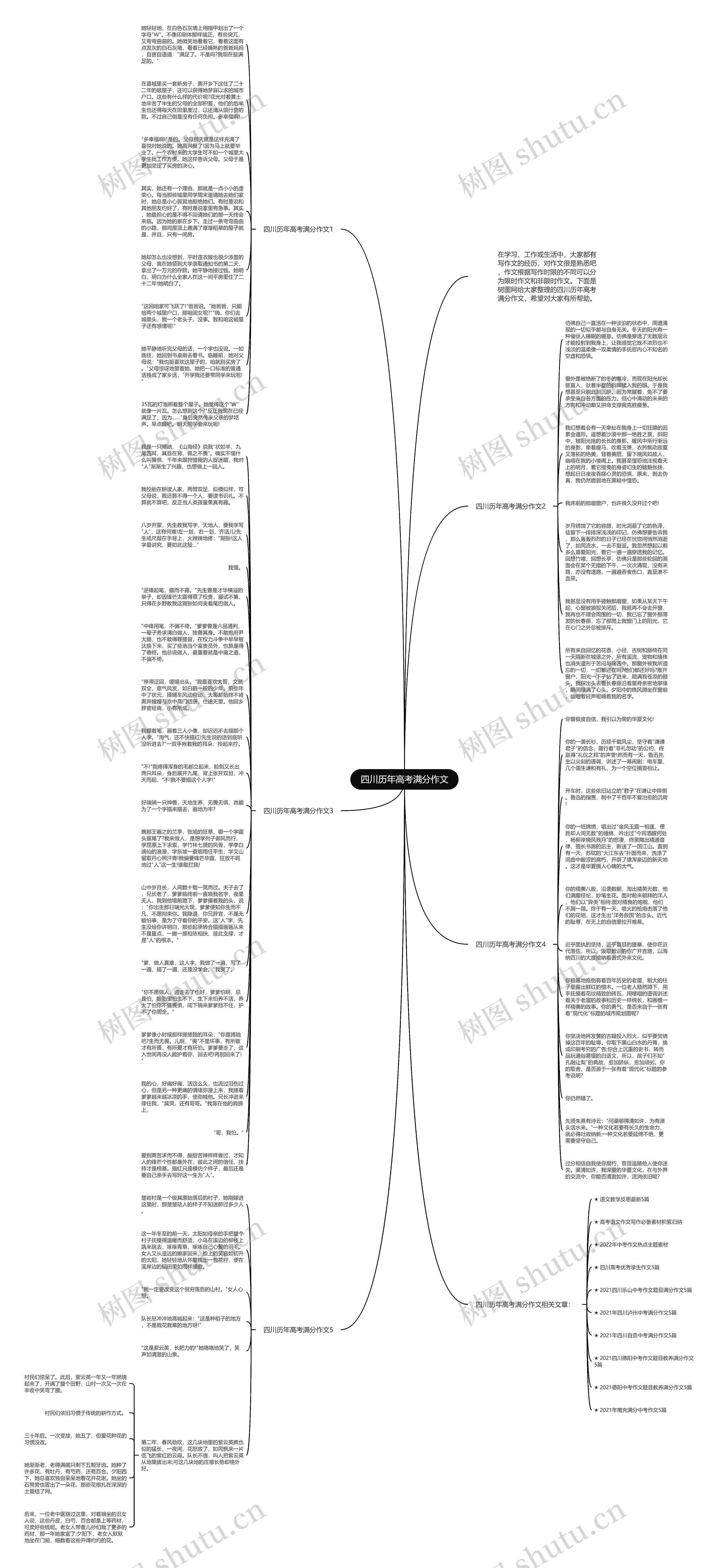 四川历年高考满分作文思维导图