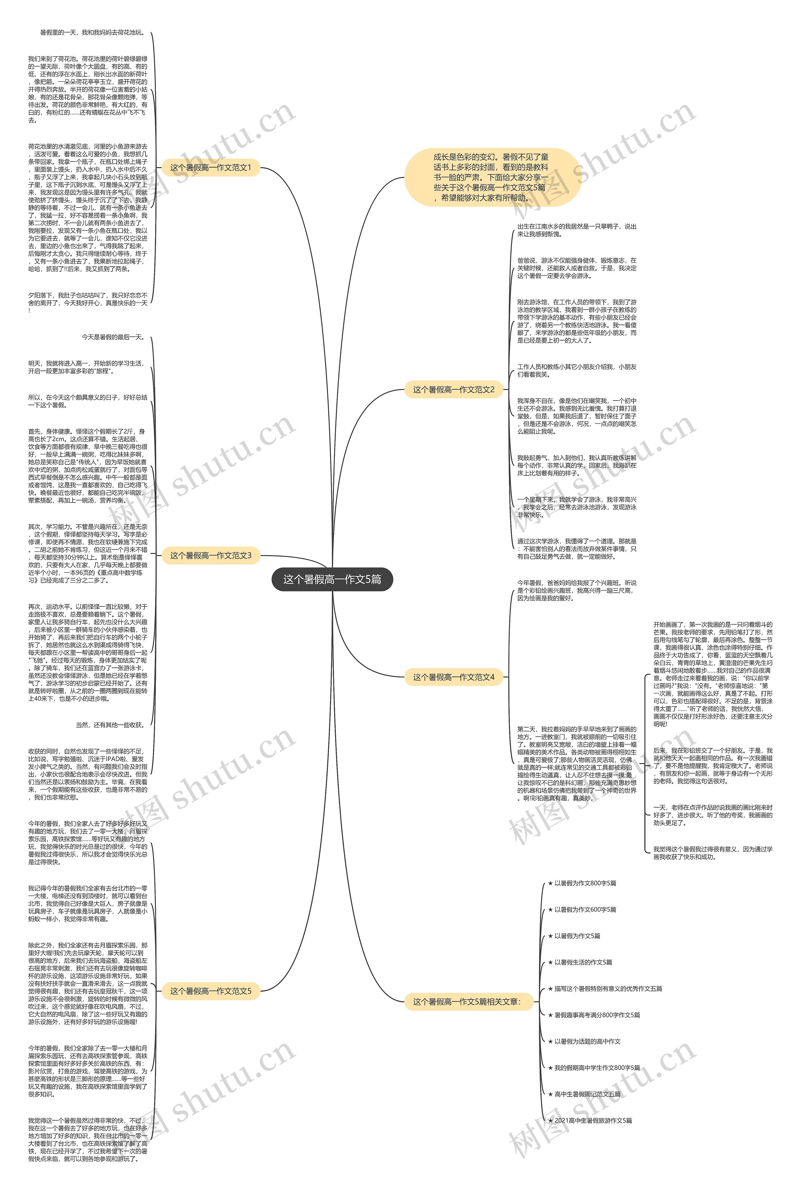 这个暑假高一作文5篇思维导图