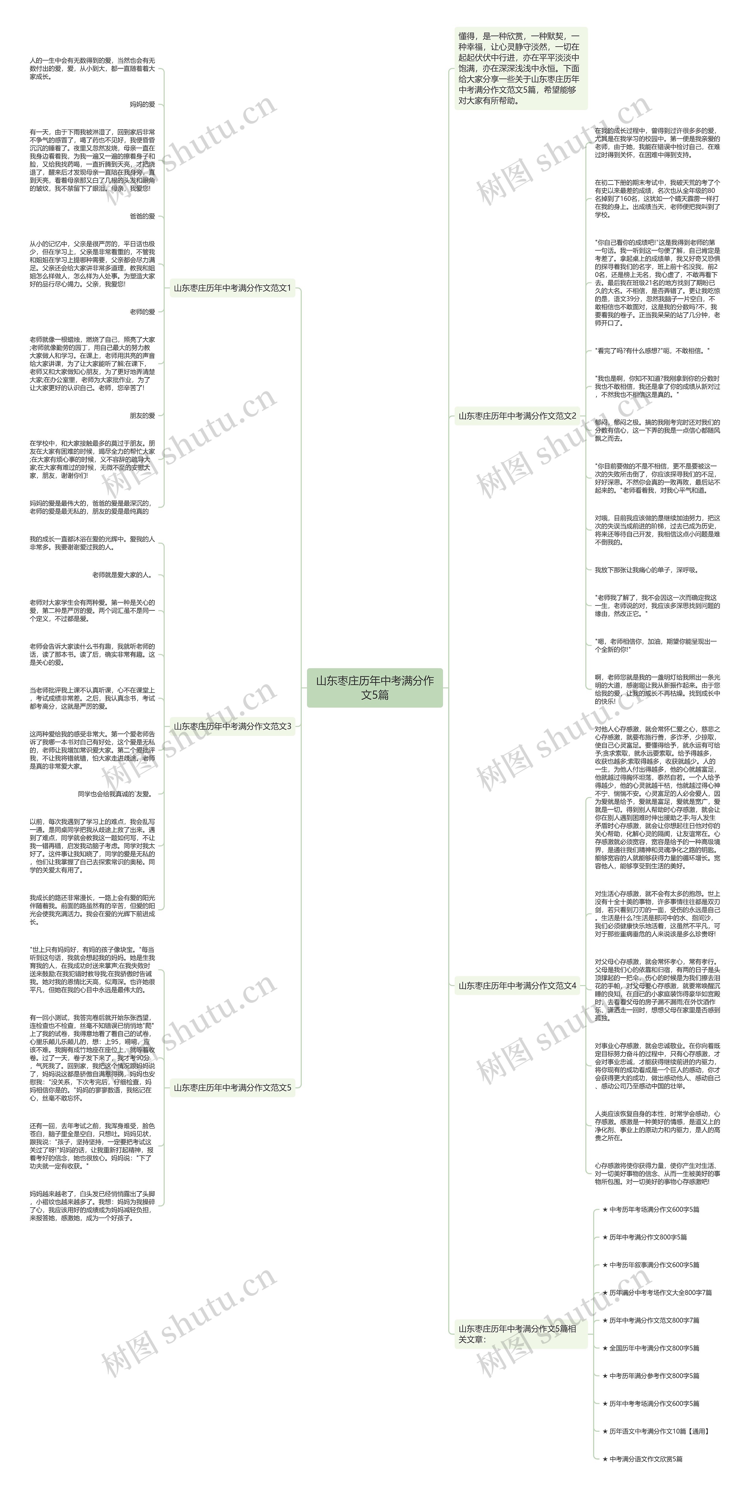 山东枣庄历年中考满分作文5篇思维导图