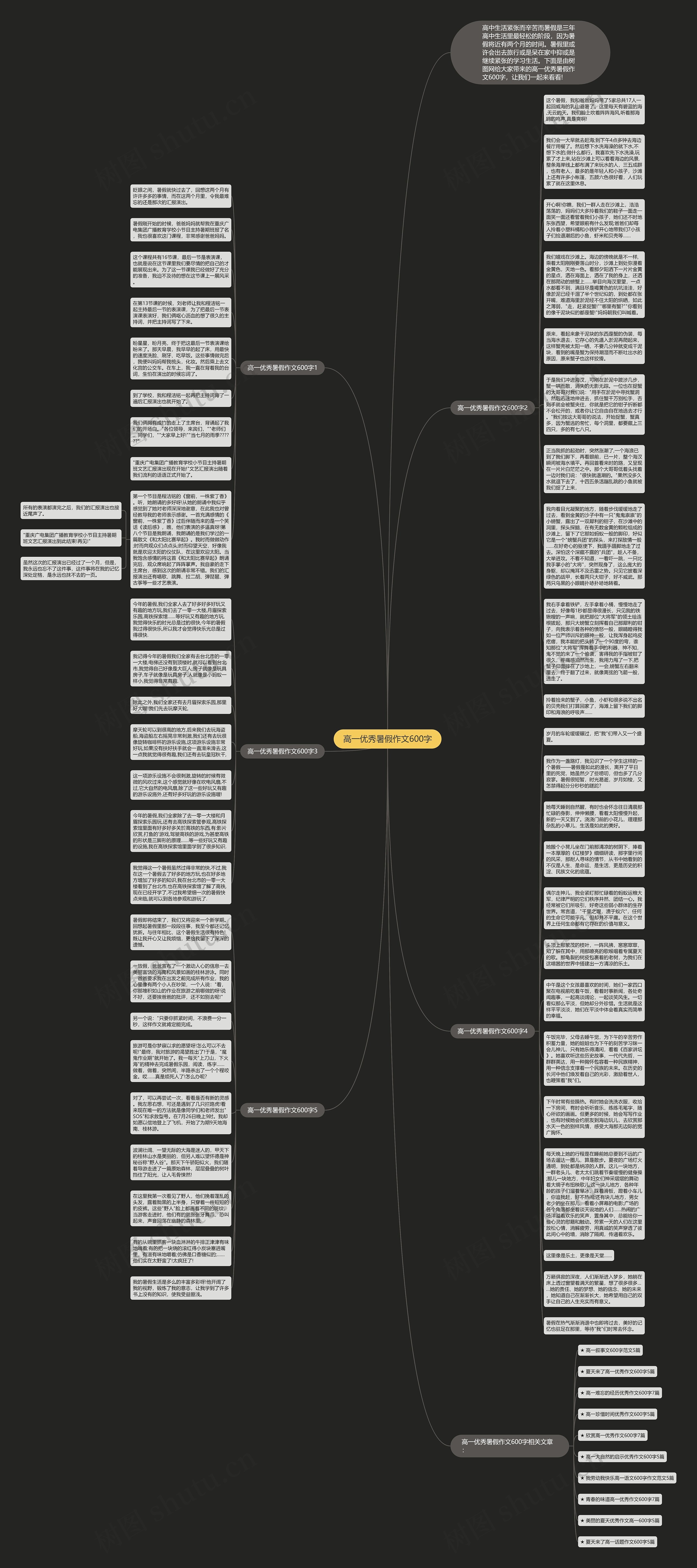 高一优秀暑假作文600字思维导图