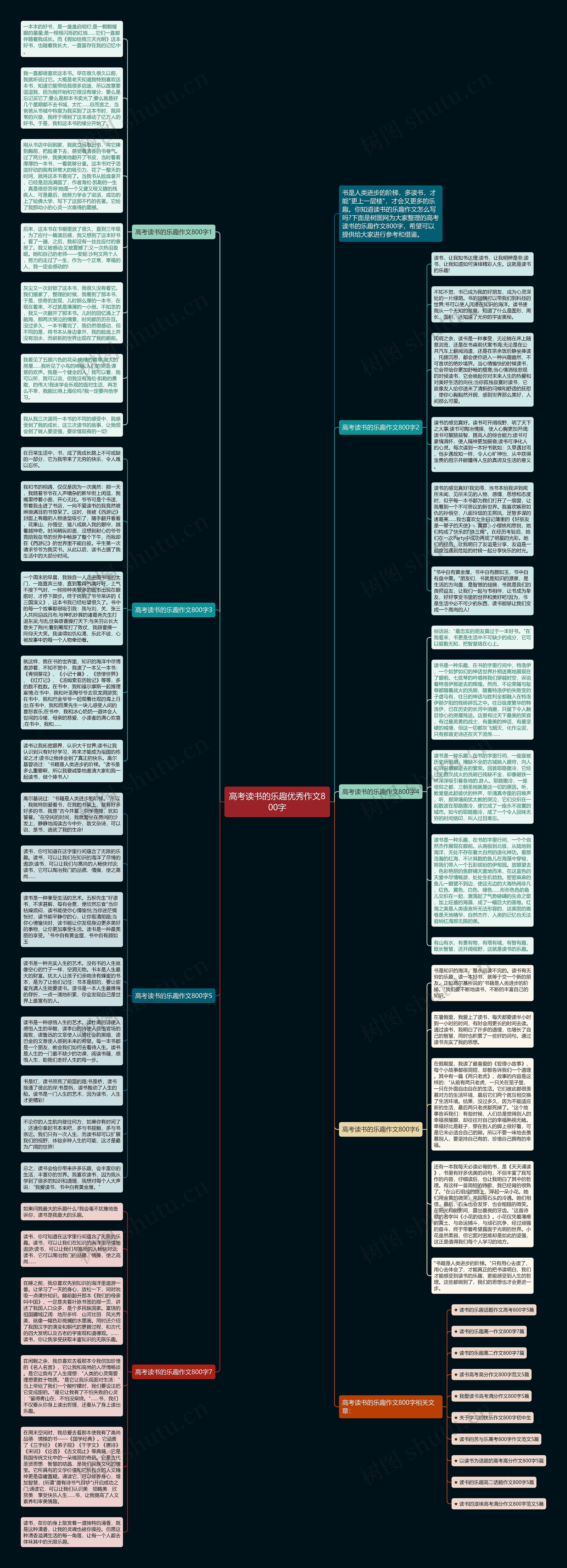 高考读书的乐趣优秀作文800字思维导图