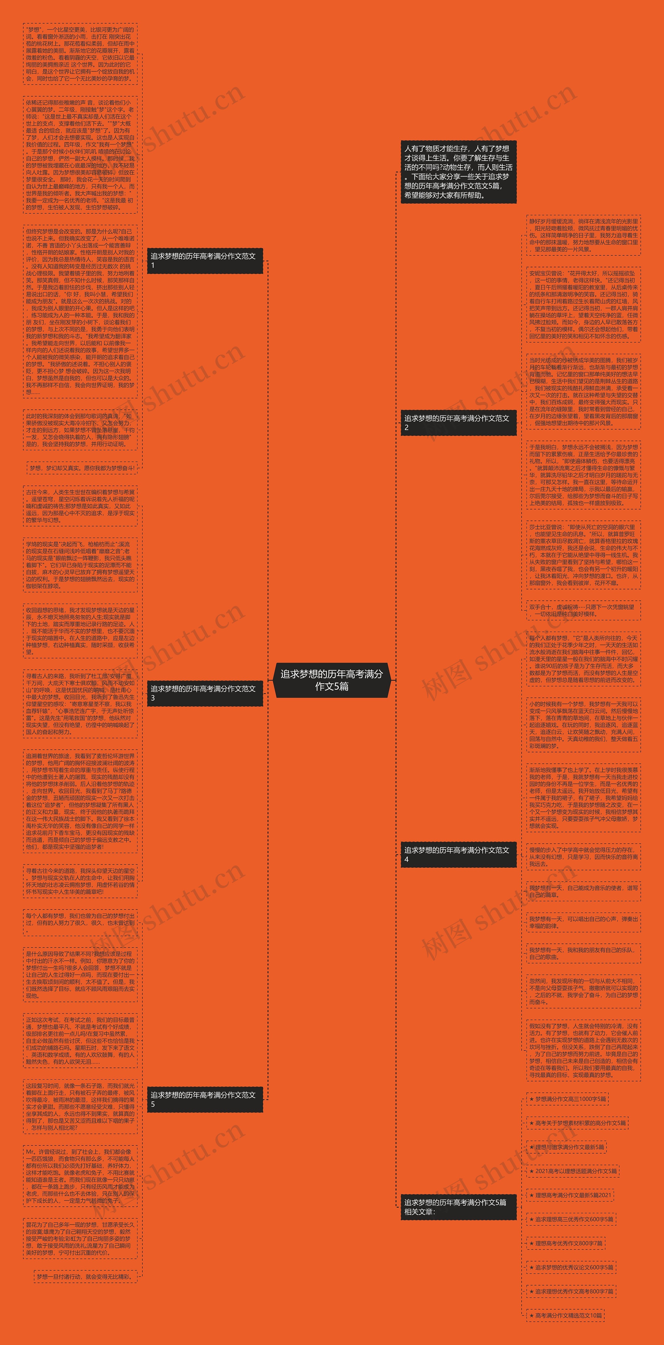 追求梦想的历年高考满分作文5篇思维导图