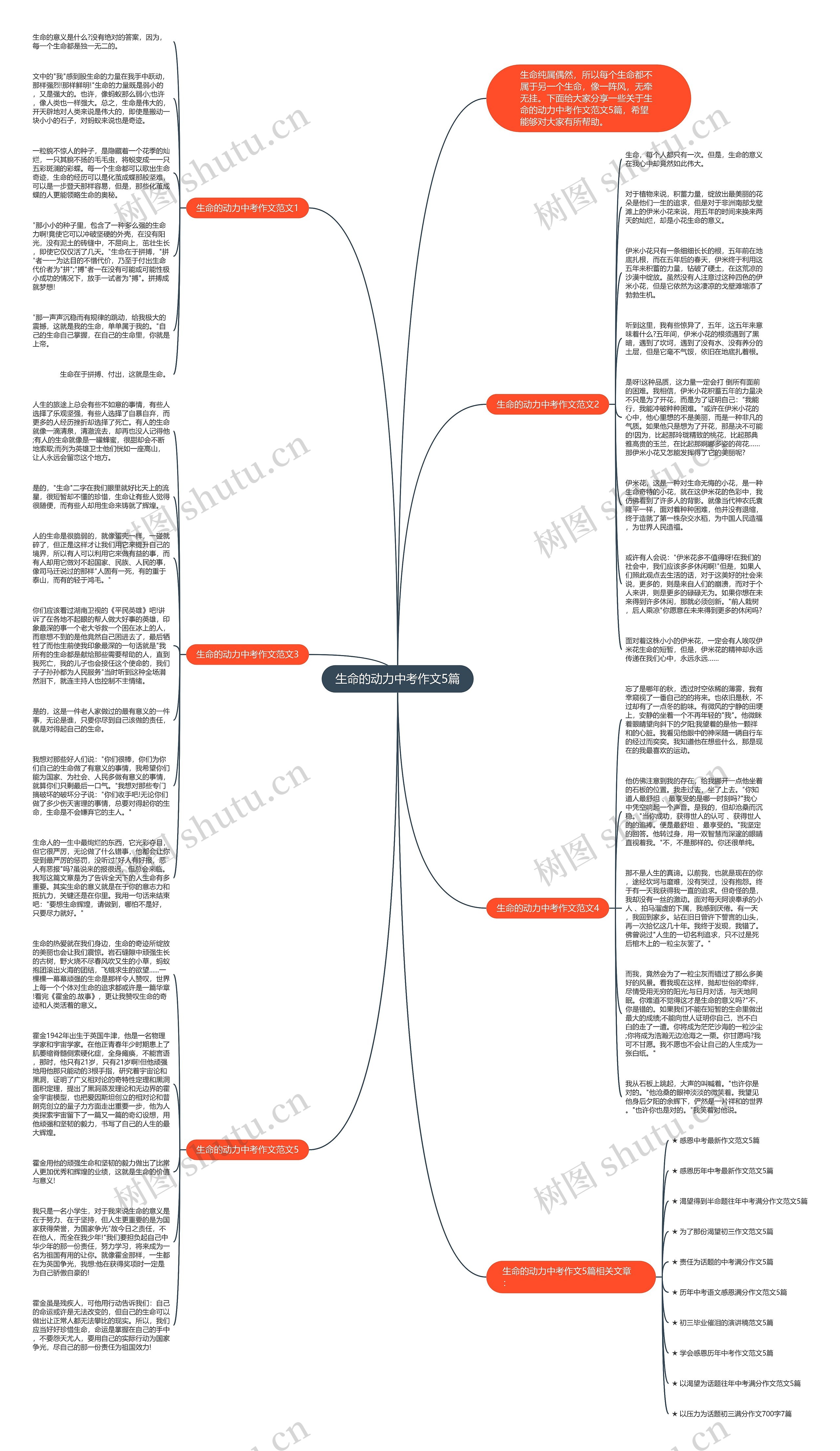 生命的动力中考作文5篇