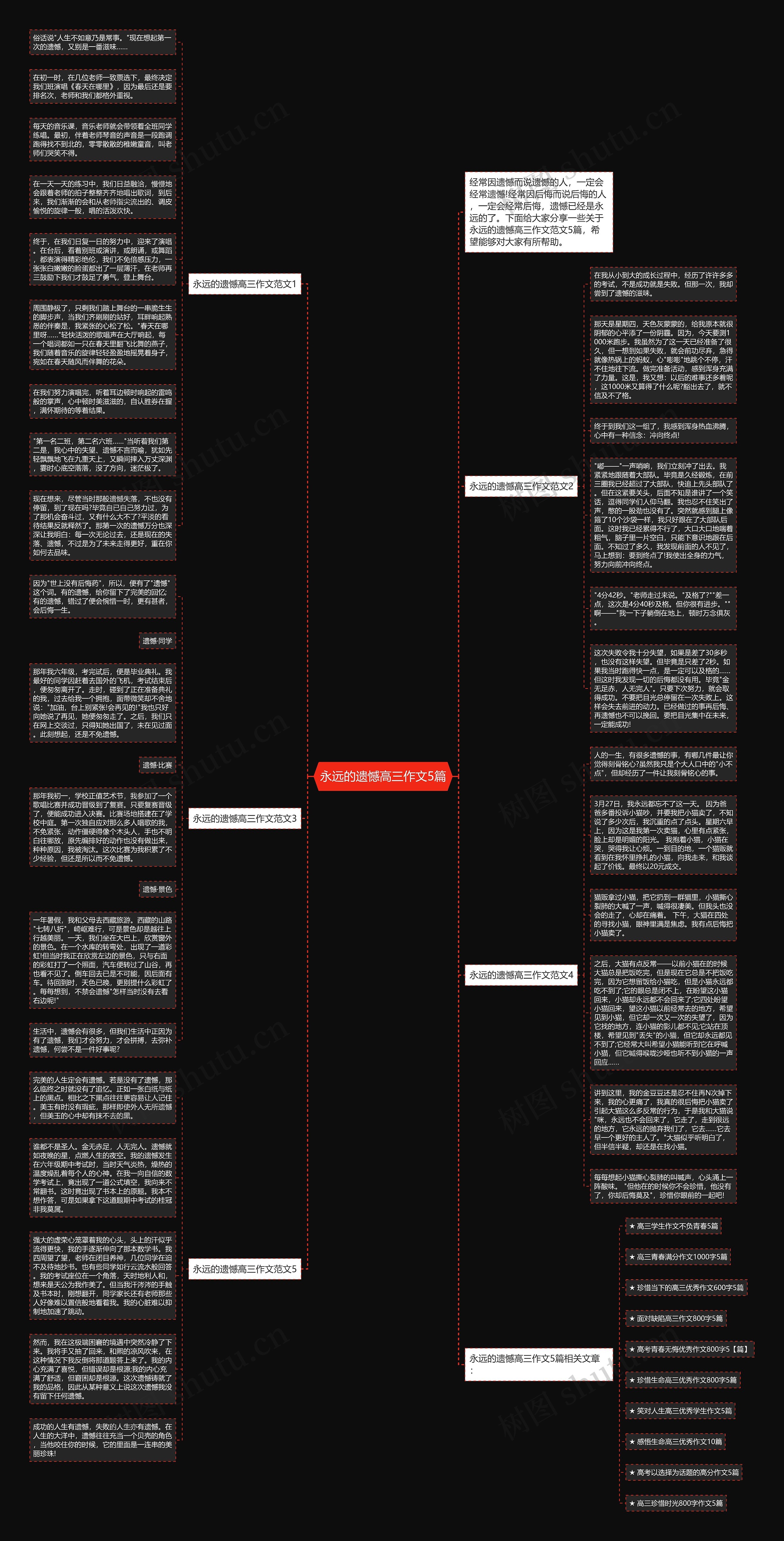 永远的遗憾高三作文5篇思维导图