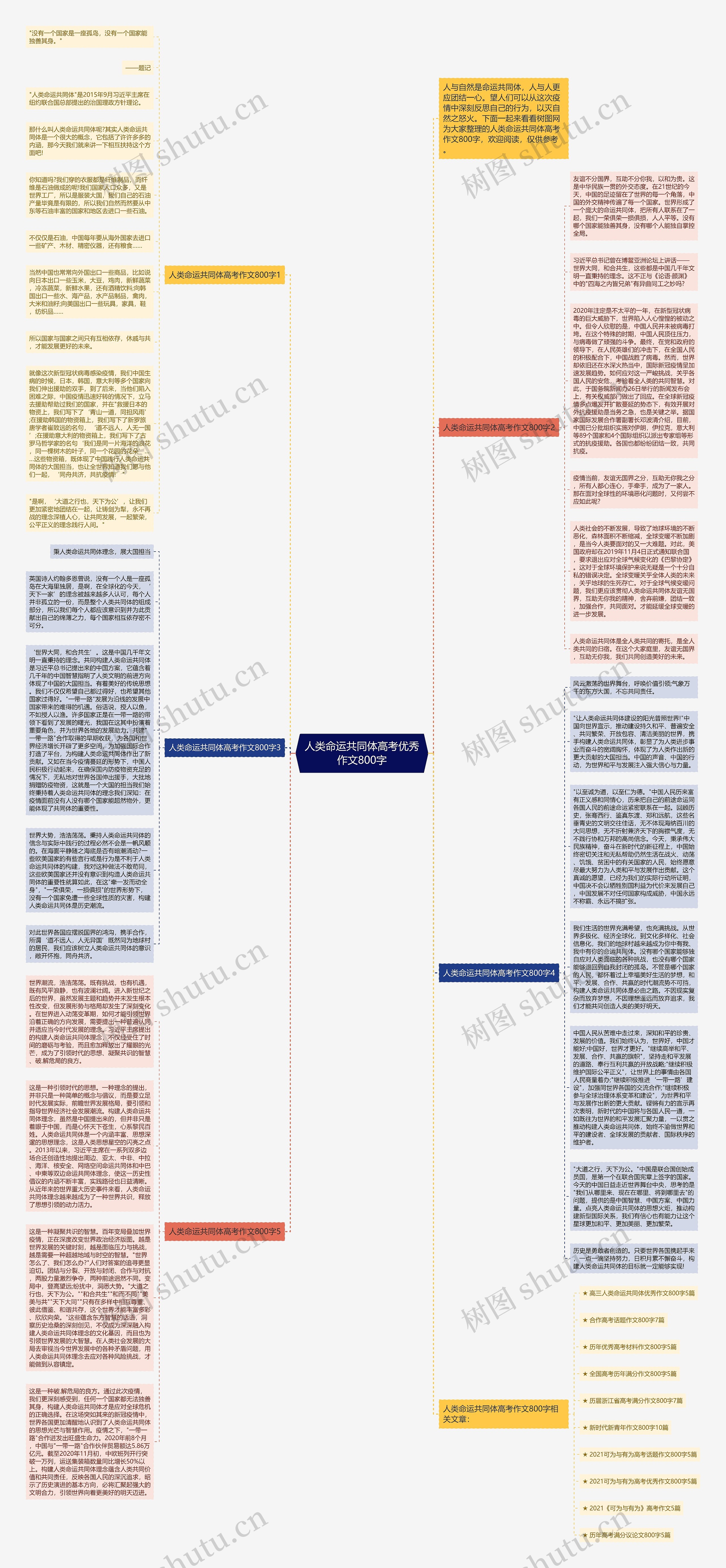 人类命运共同体高考优秀作文800字思维导图