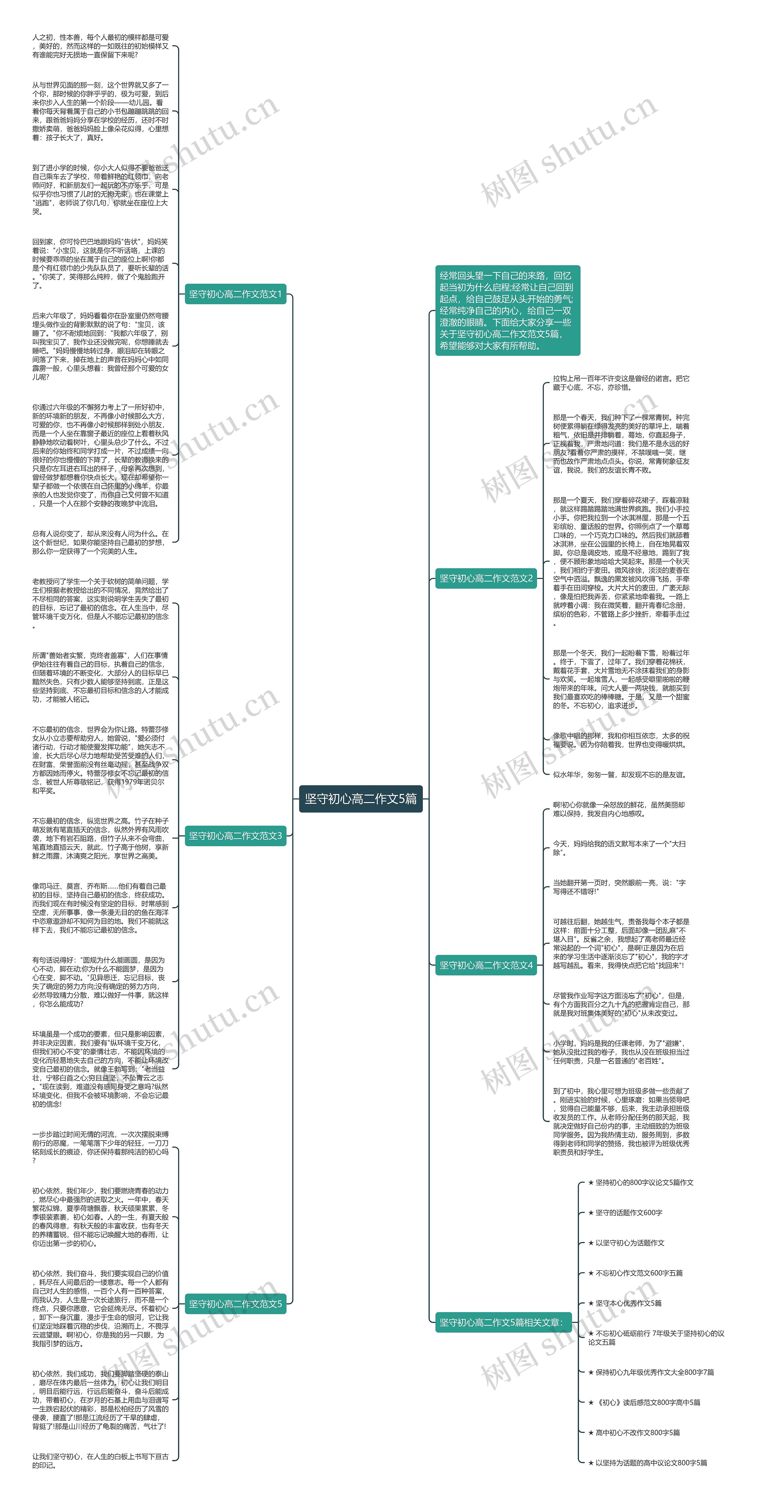 坚守初心高二作文5篇思维导图