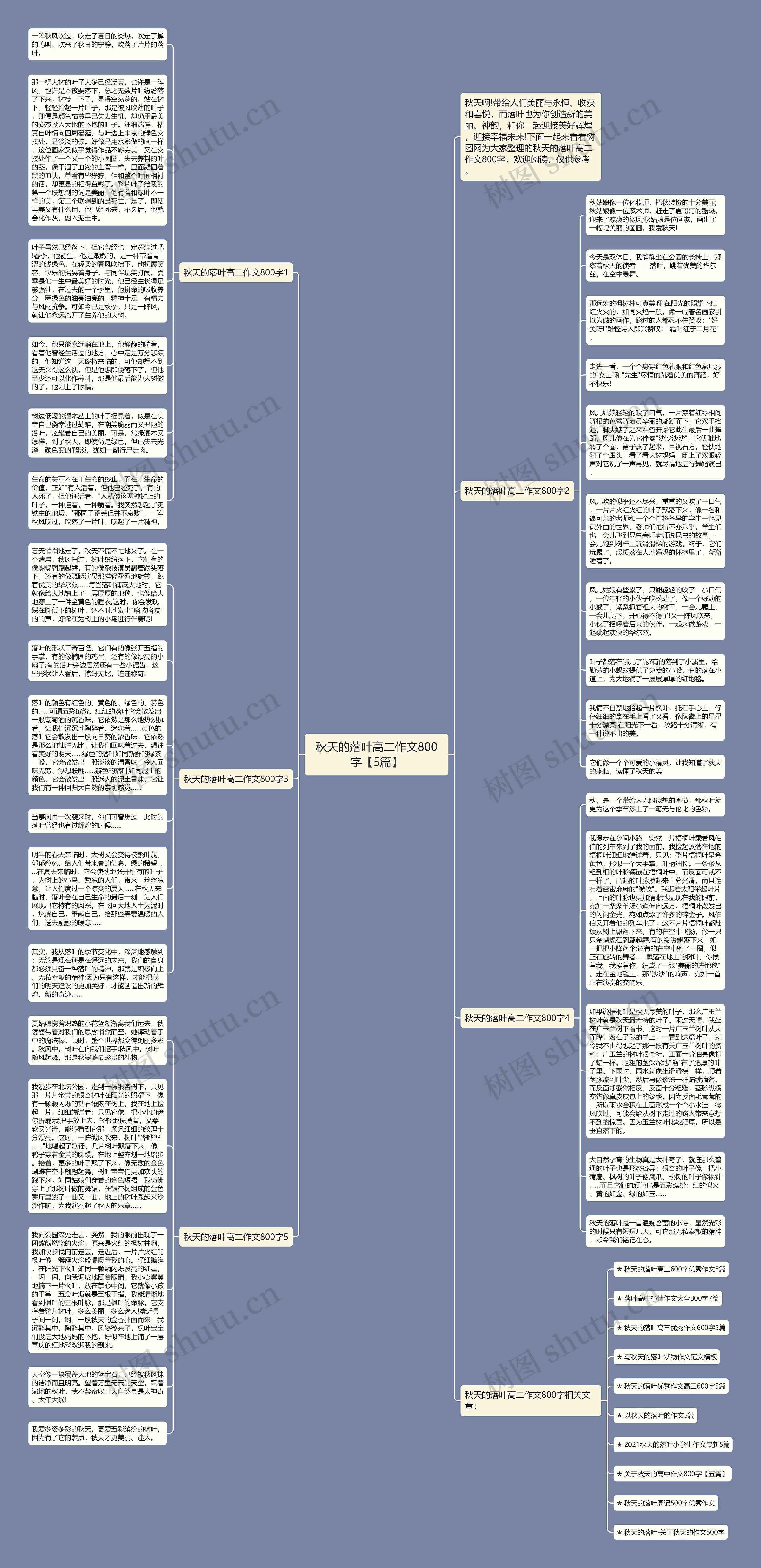 秋天的落叶高二作文800字【5篇】思维导图