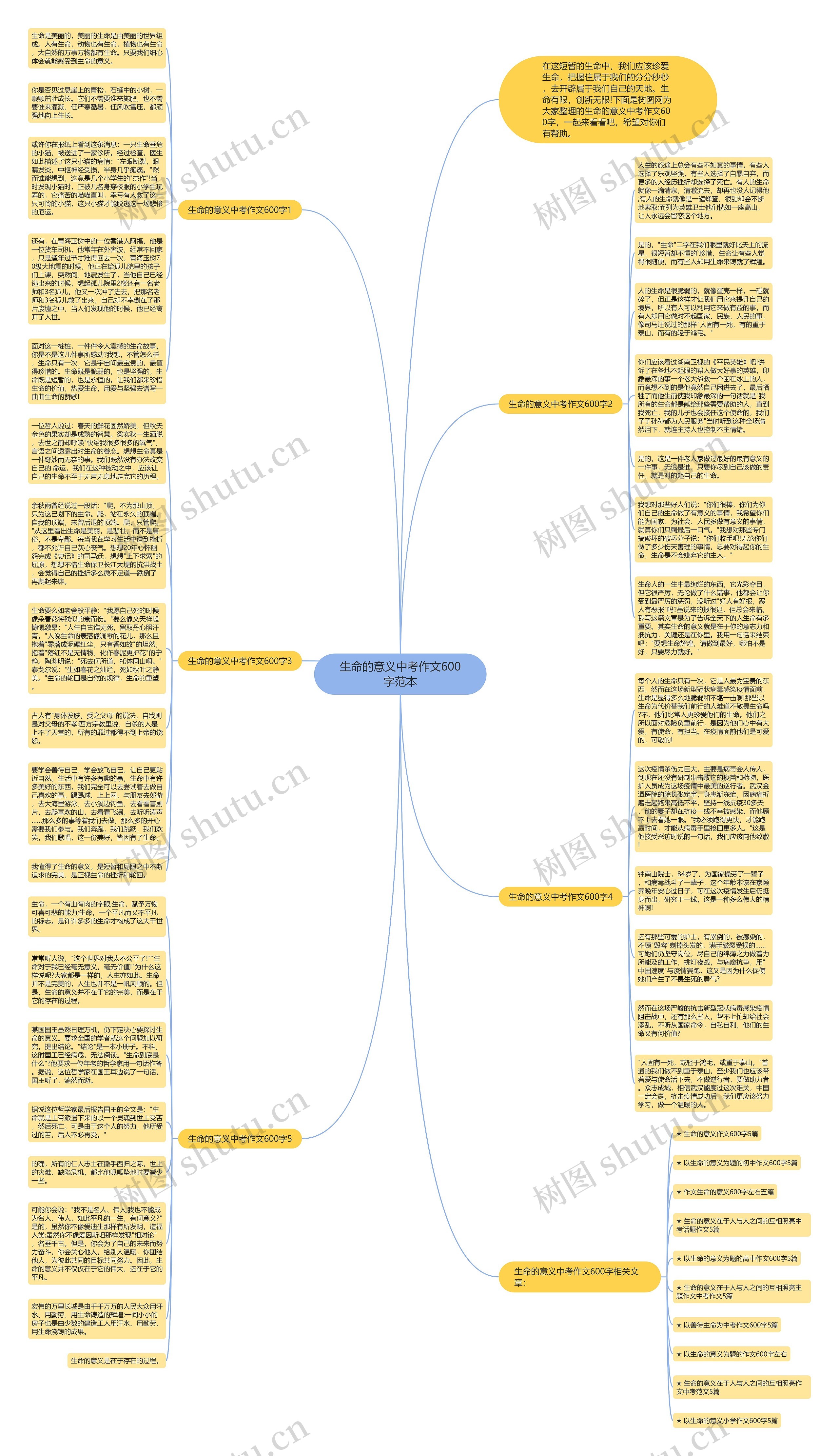 生命的意义中考作文600字范本思维导图