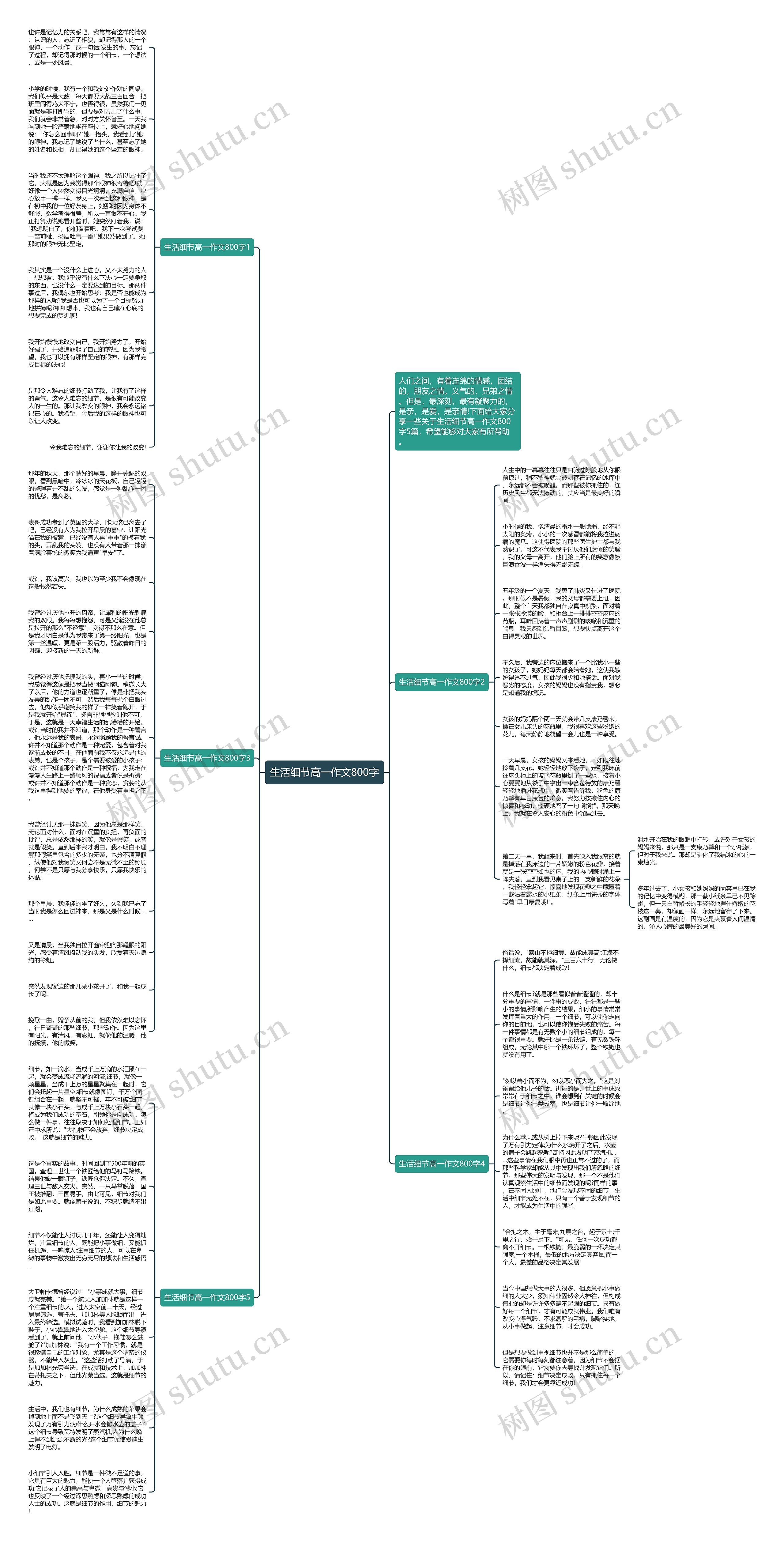 生活细节高一作文800字思维导图