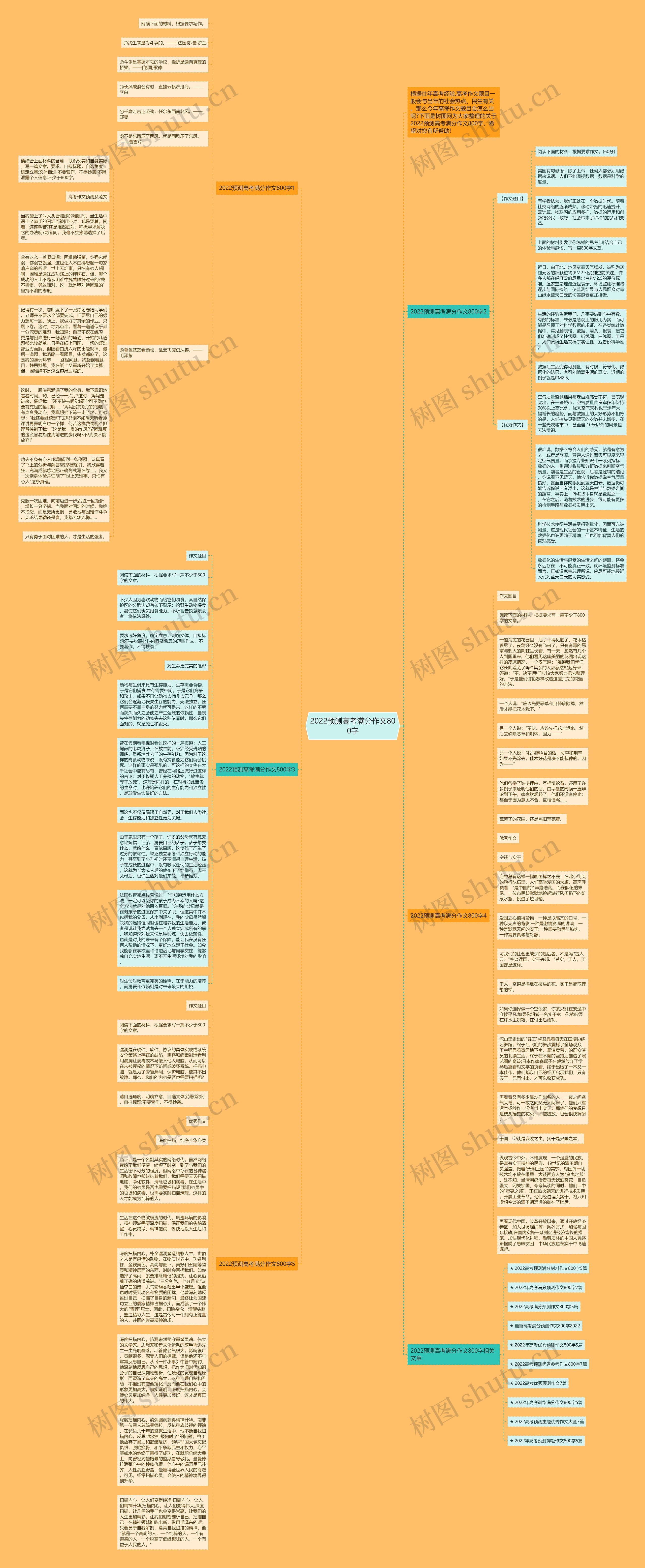 2022预测高考满分作文800字思维导图