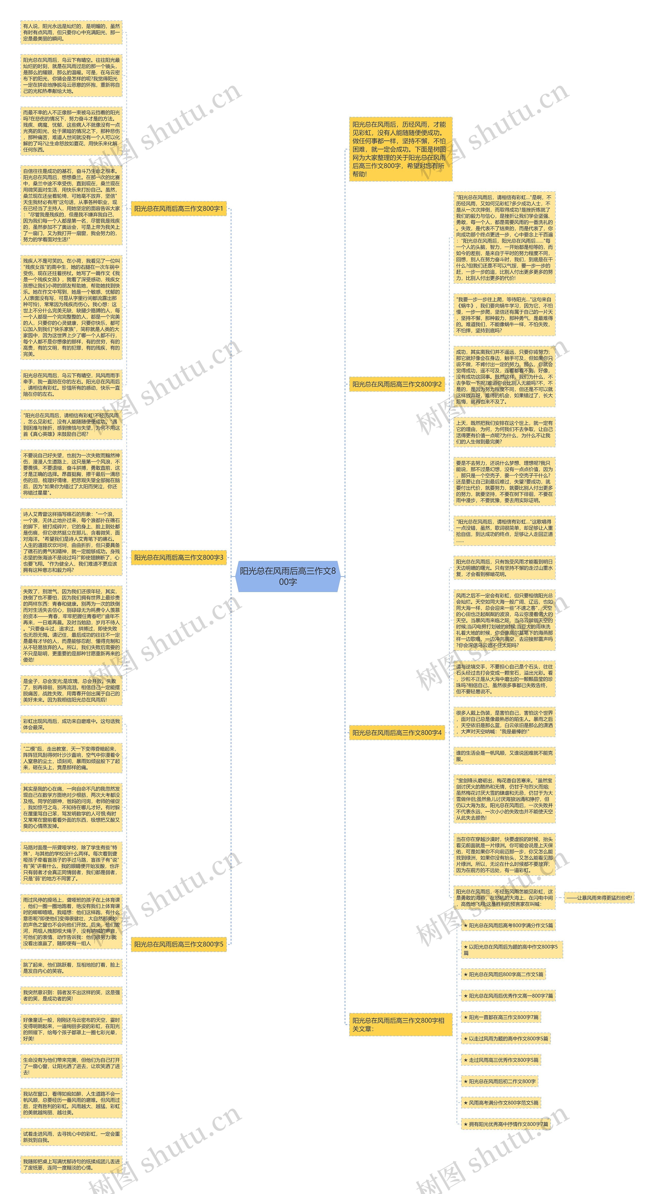 阳光总在风雨后高三作文800字思维导图