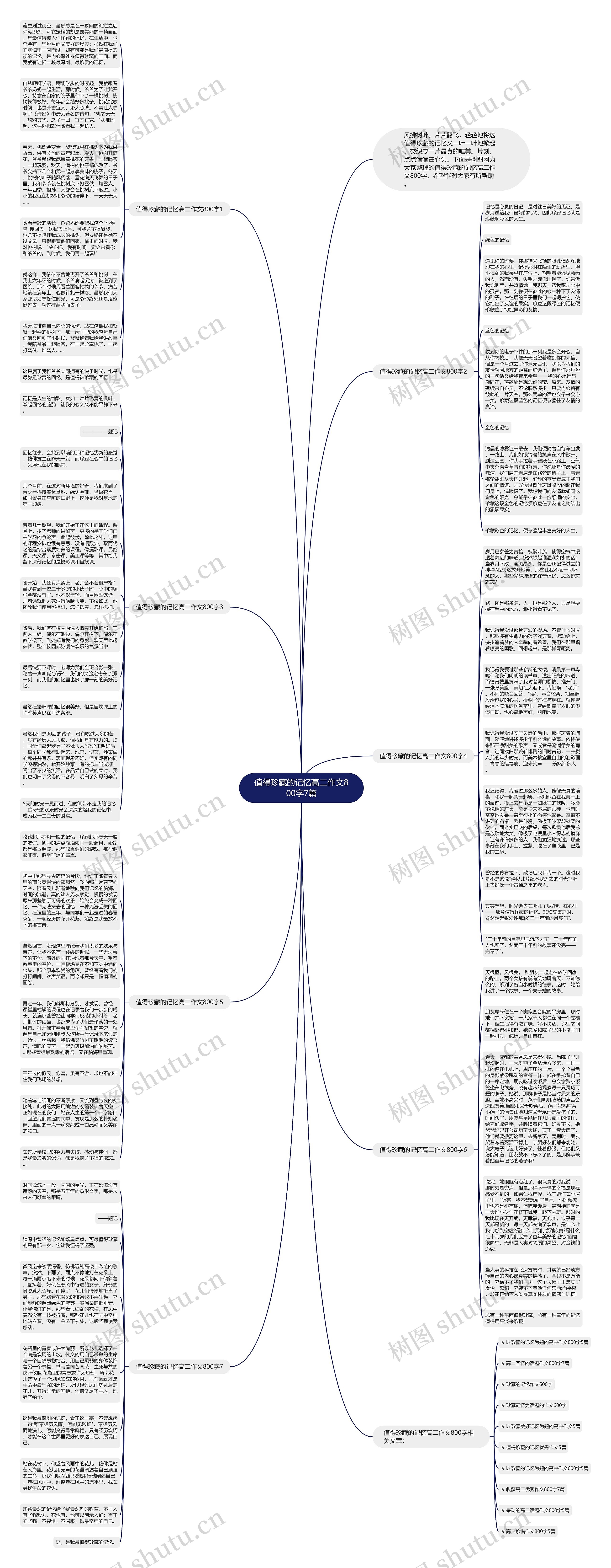 值得珍藏的记忆高二作文800字7篇思维导图
