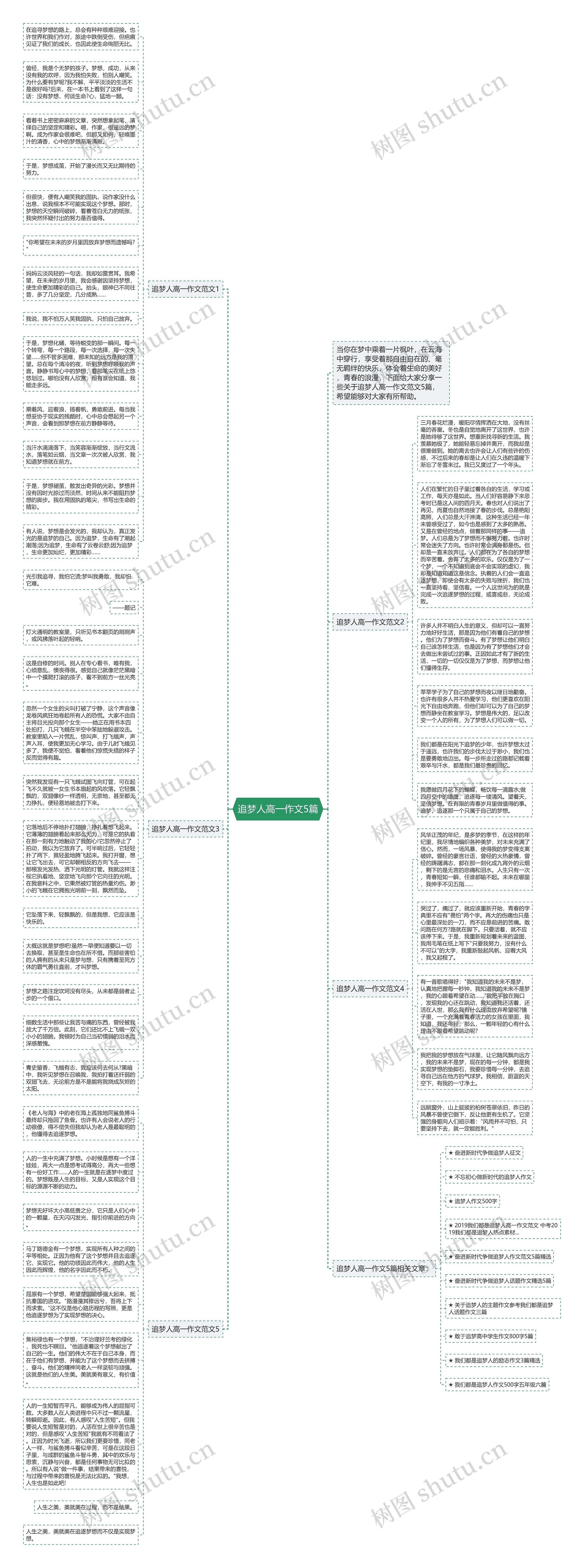 追梦人高一作文5篇思维导图