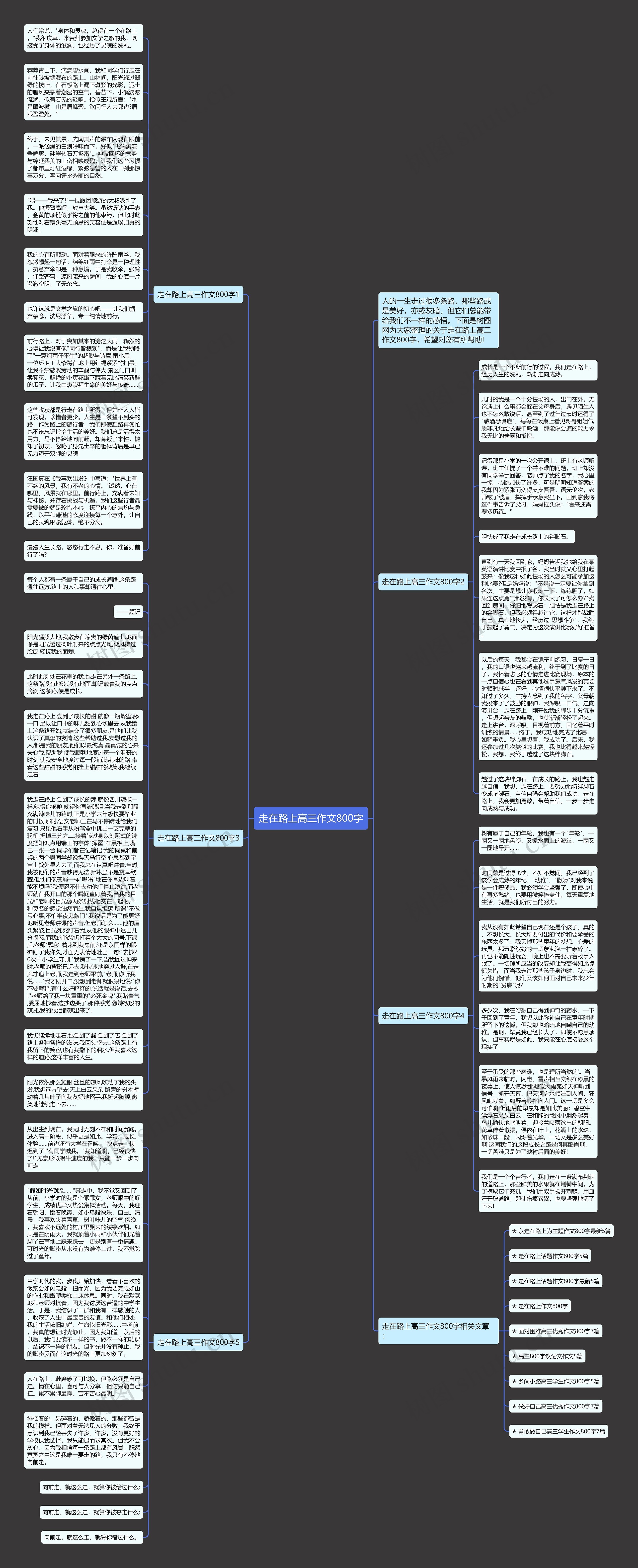 走在路上高三作文800字思维导图