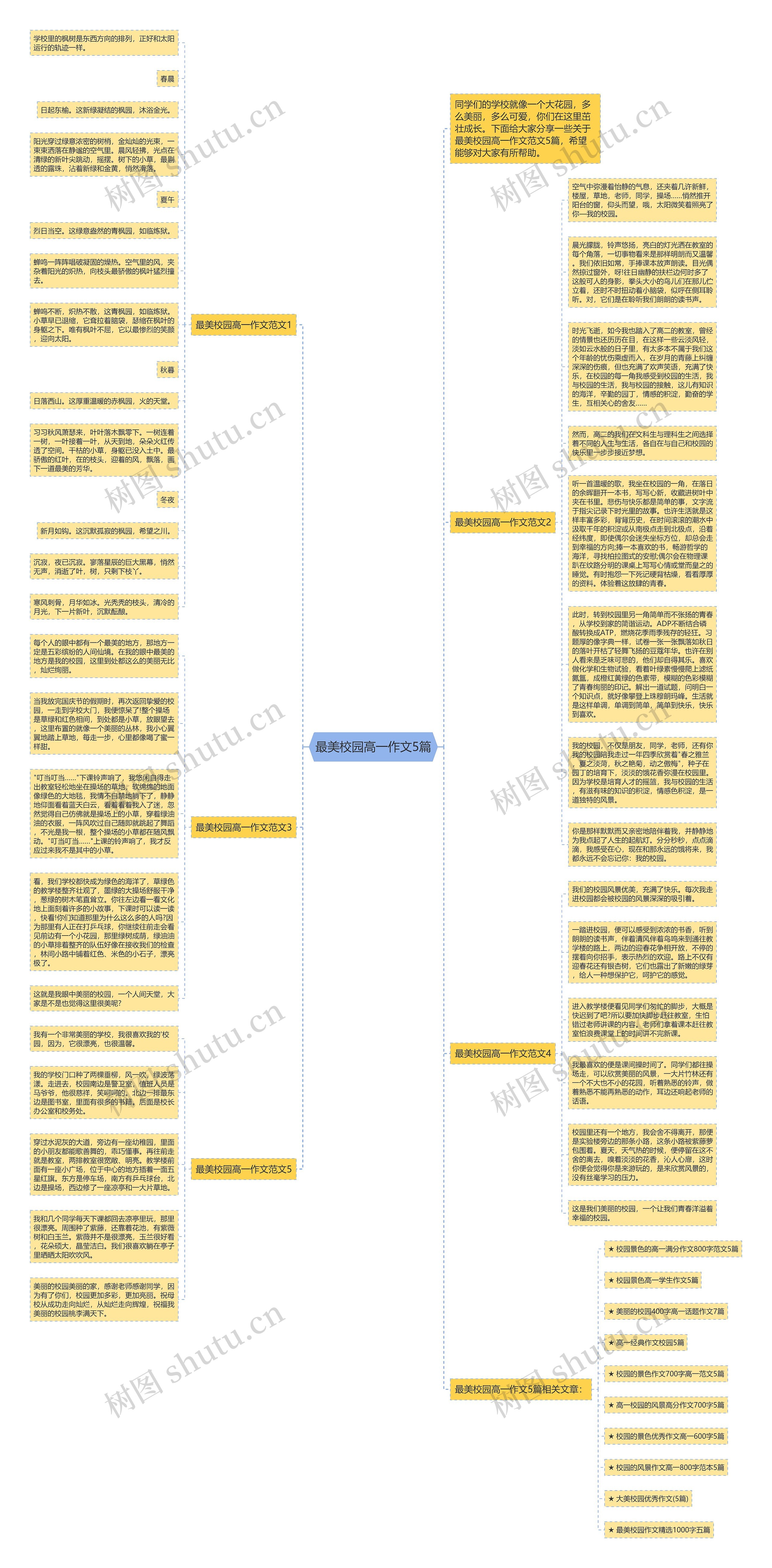 最美校园高一作文5篇思维导图