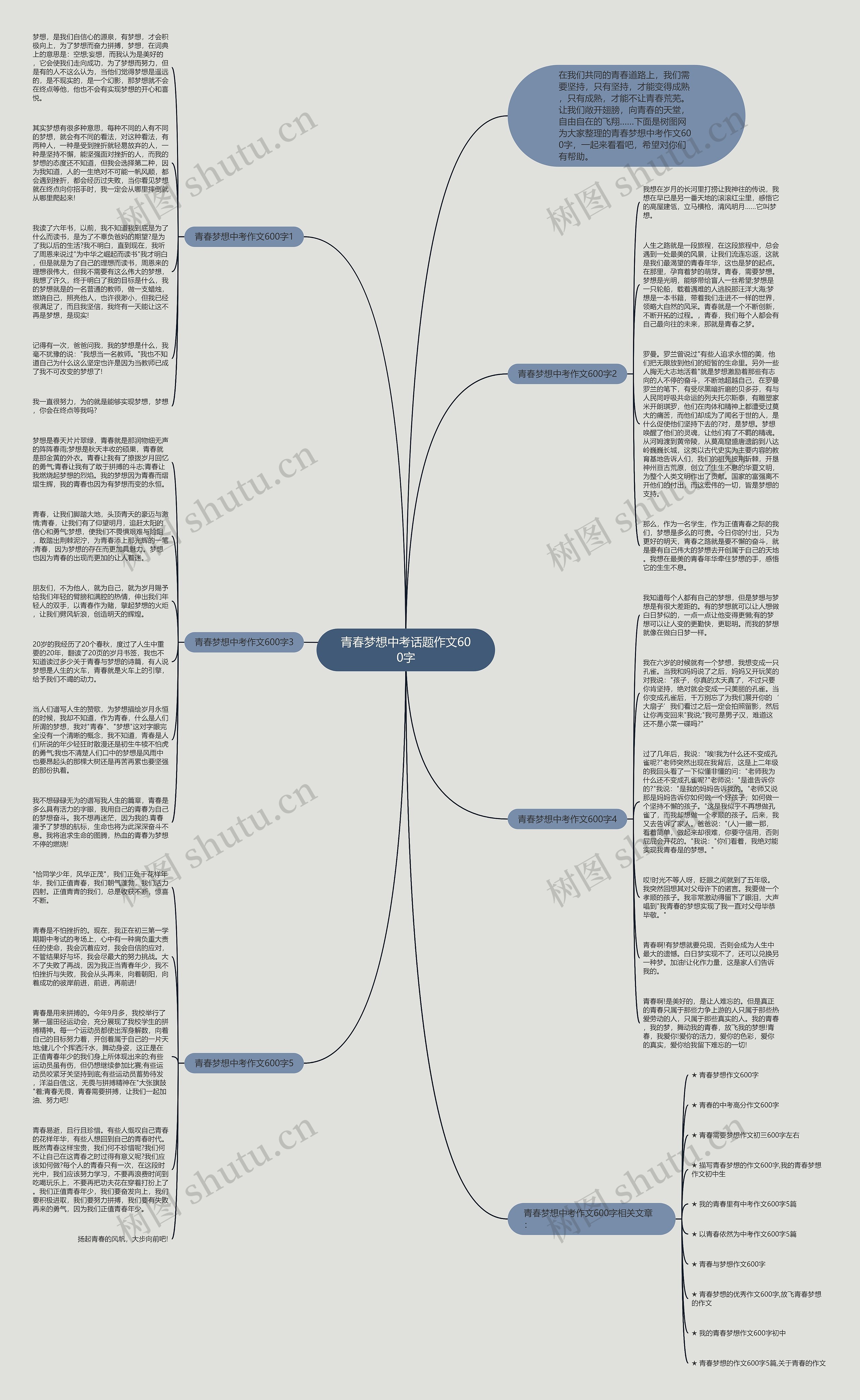 青春梦想中考话题作文600字思维导图