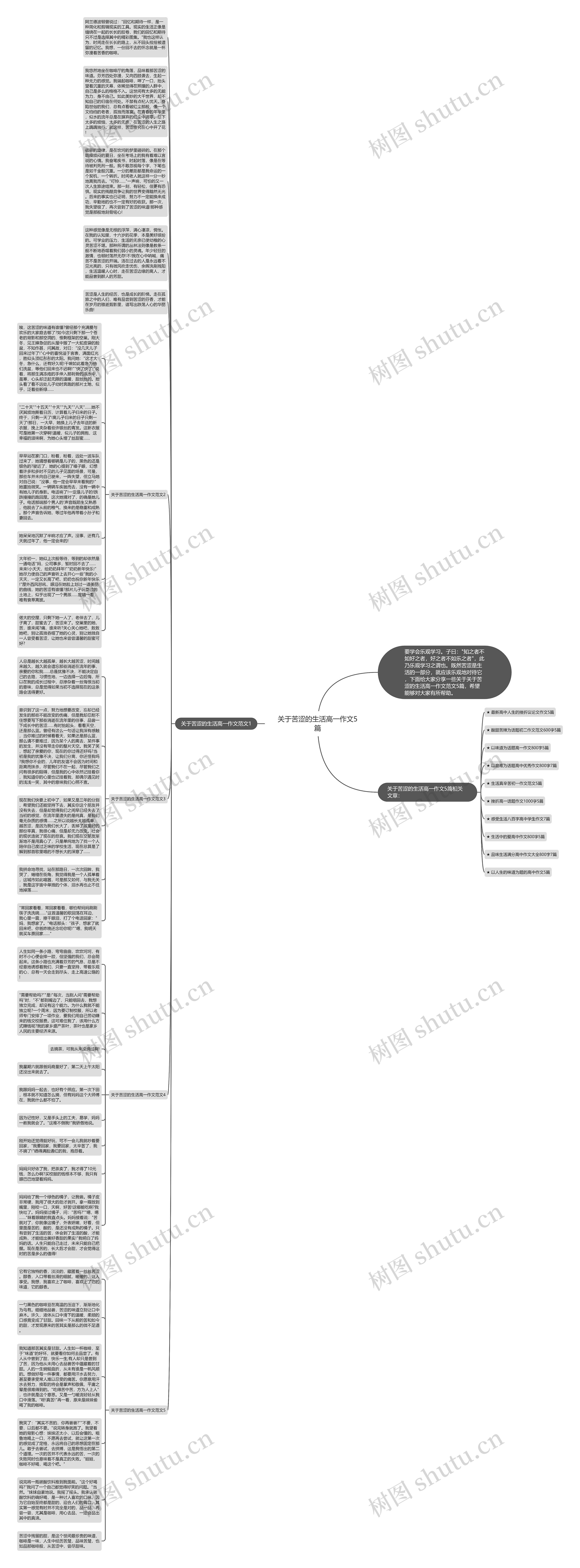 关于苦涩的生活高一作文5篇思维导图
